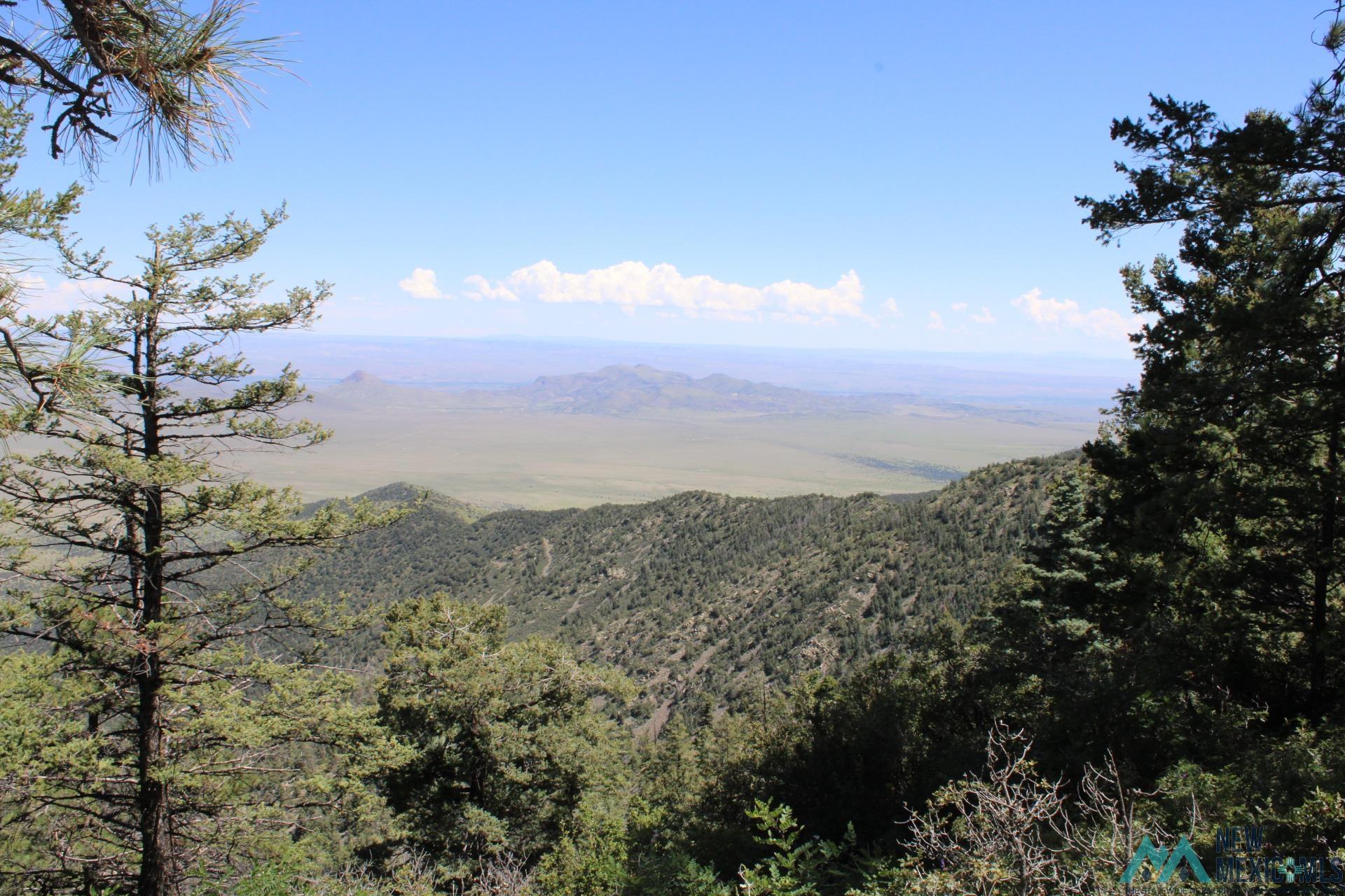 Magdalena Mt Magdalena Mountain Top, Magdalena, Texas image 7