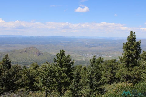 Vacant Land For Sale - MAGDALENA MT Magdalena Mountain Top<br/> Magdalena, NM 87825