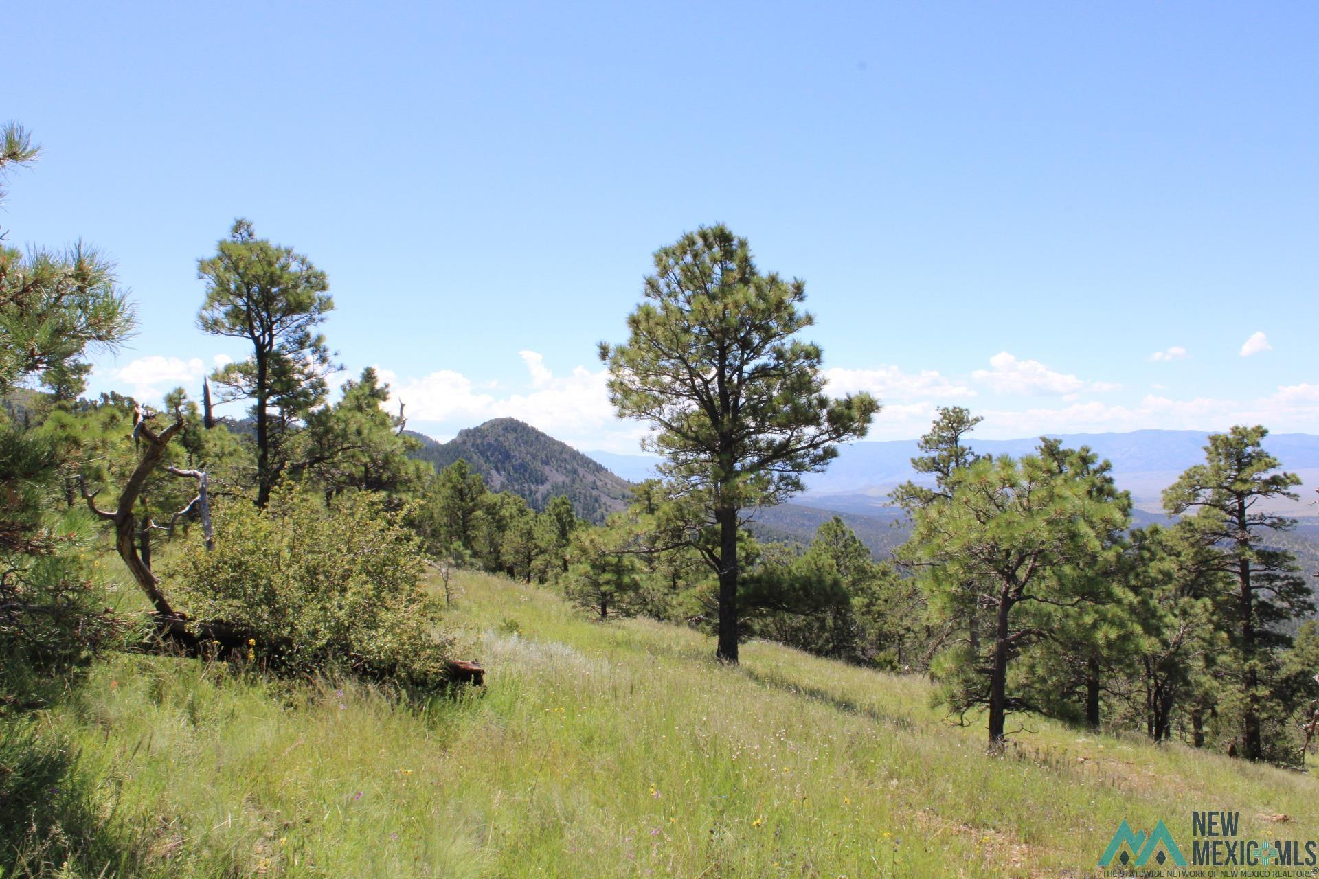 Magdalena Mt Magdalena Mountain Top, Magdalena, Texas image 3