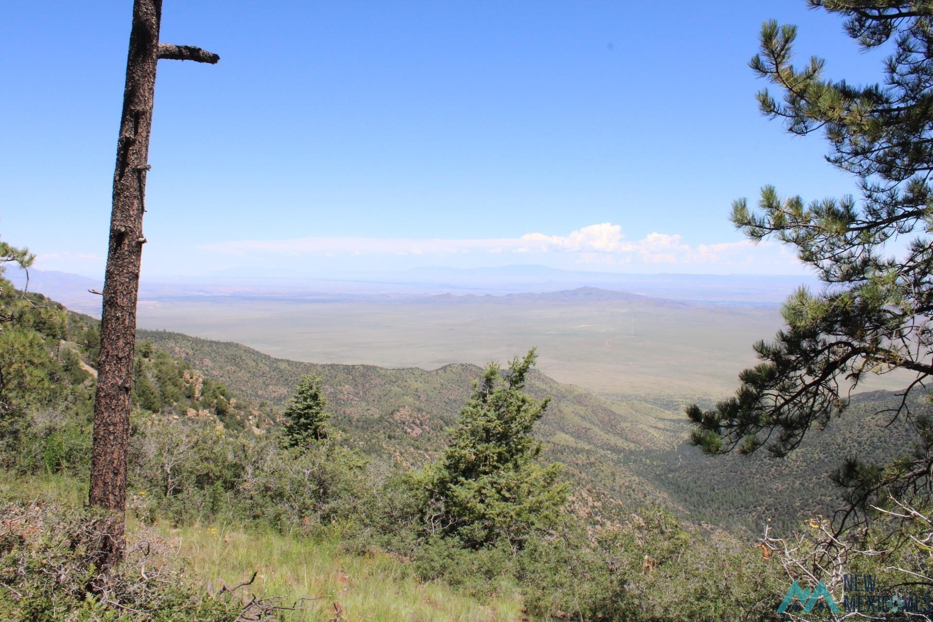 Magdalena Mt Magdalena Mountain Top, Magdalena, Texas image 6