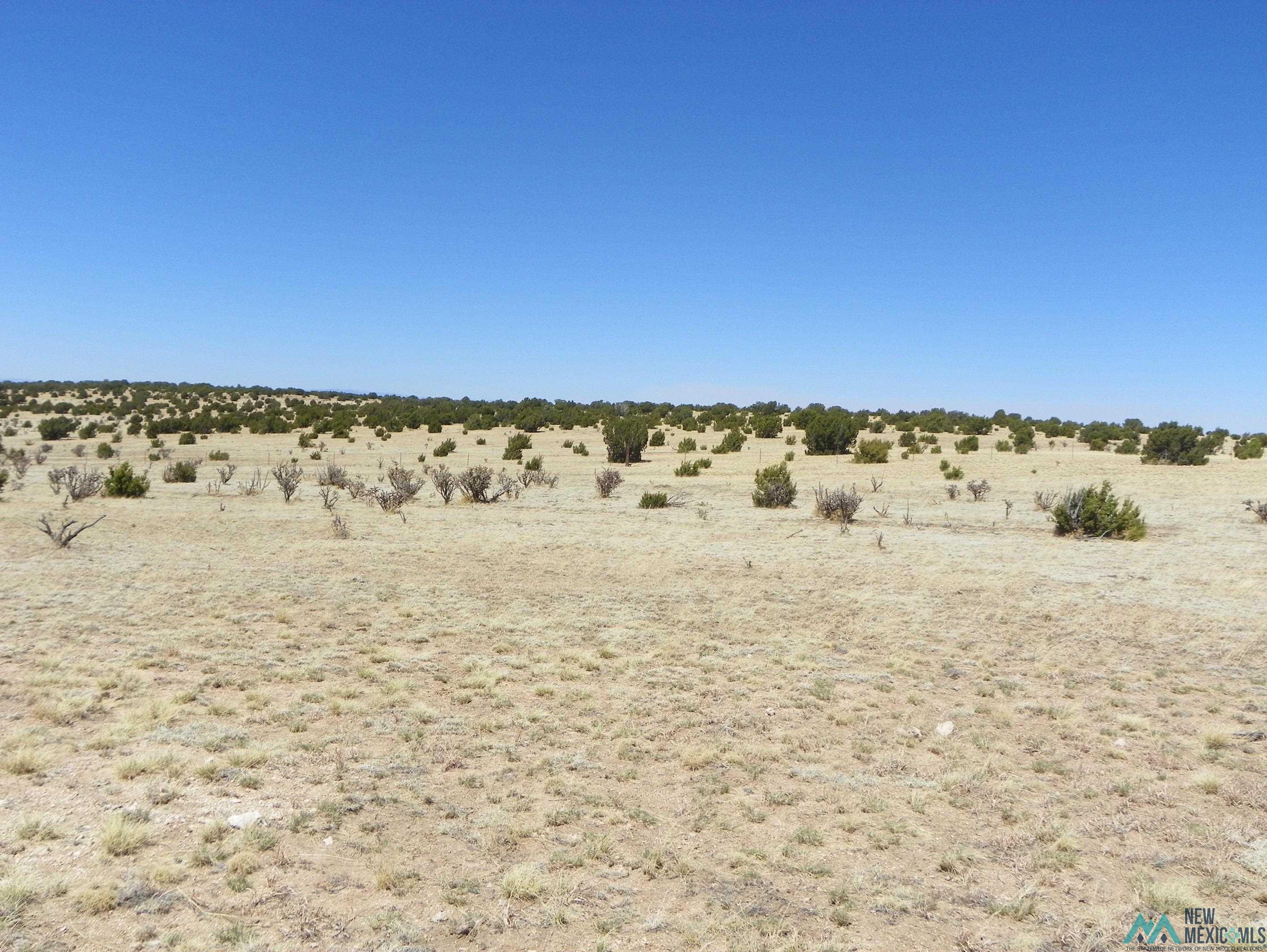 0000 Pecos Spur, Santa Rosa, New Mexico image 27