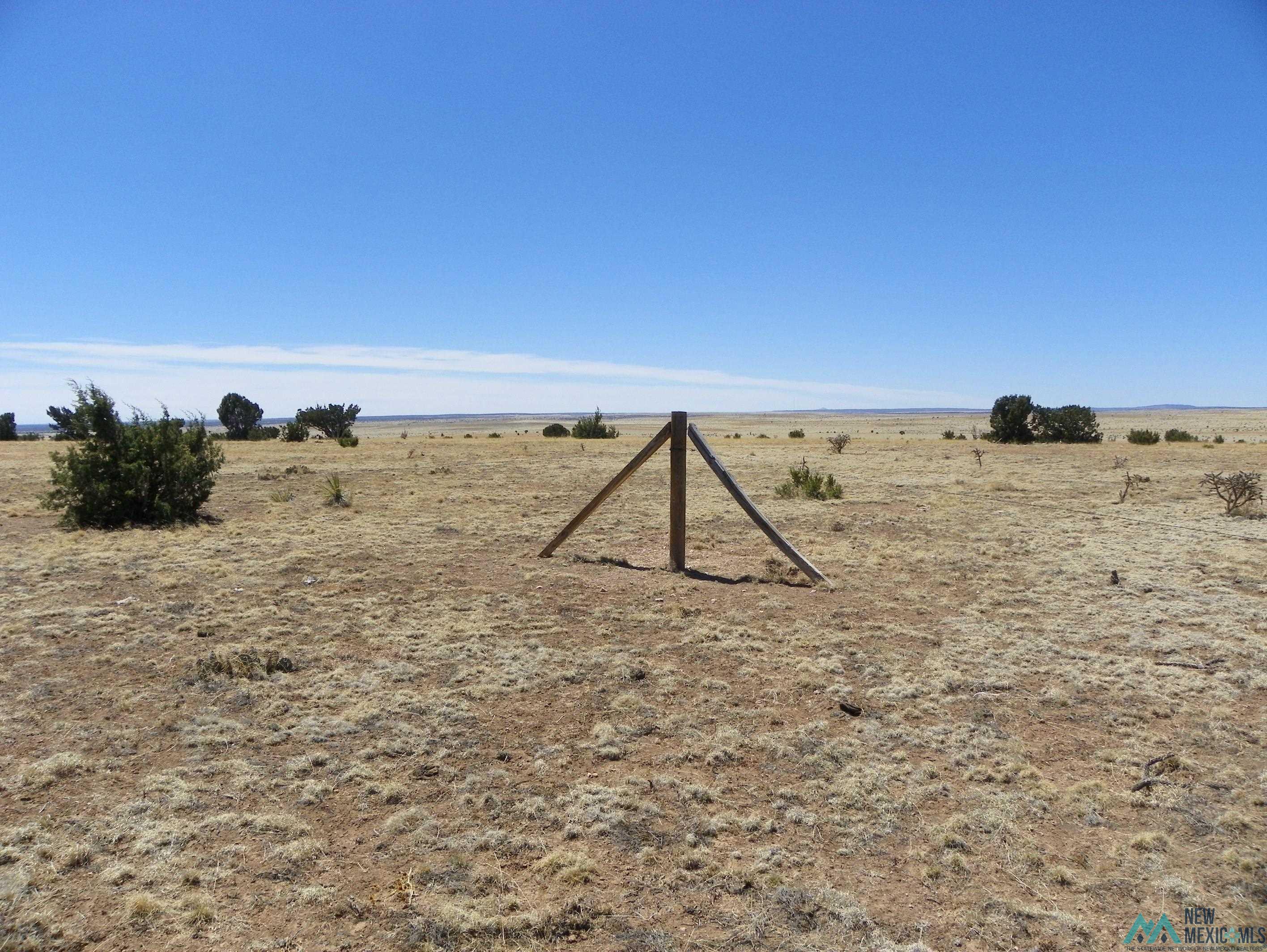 0000 Pecos Spur, Santa Rosa, New Mexico image 18