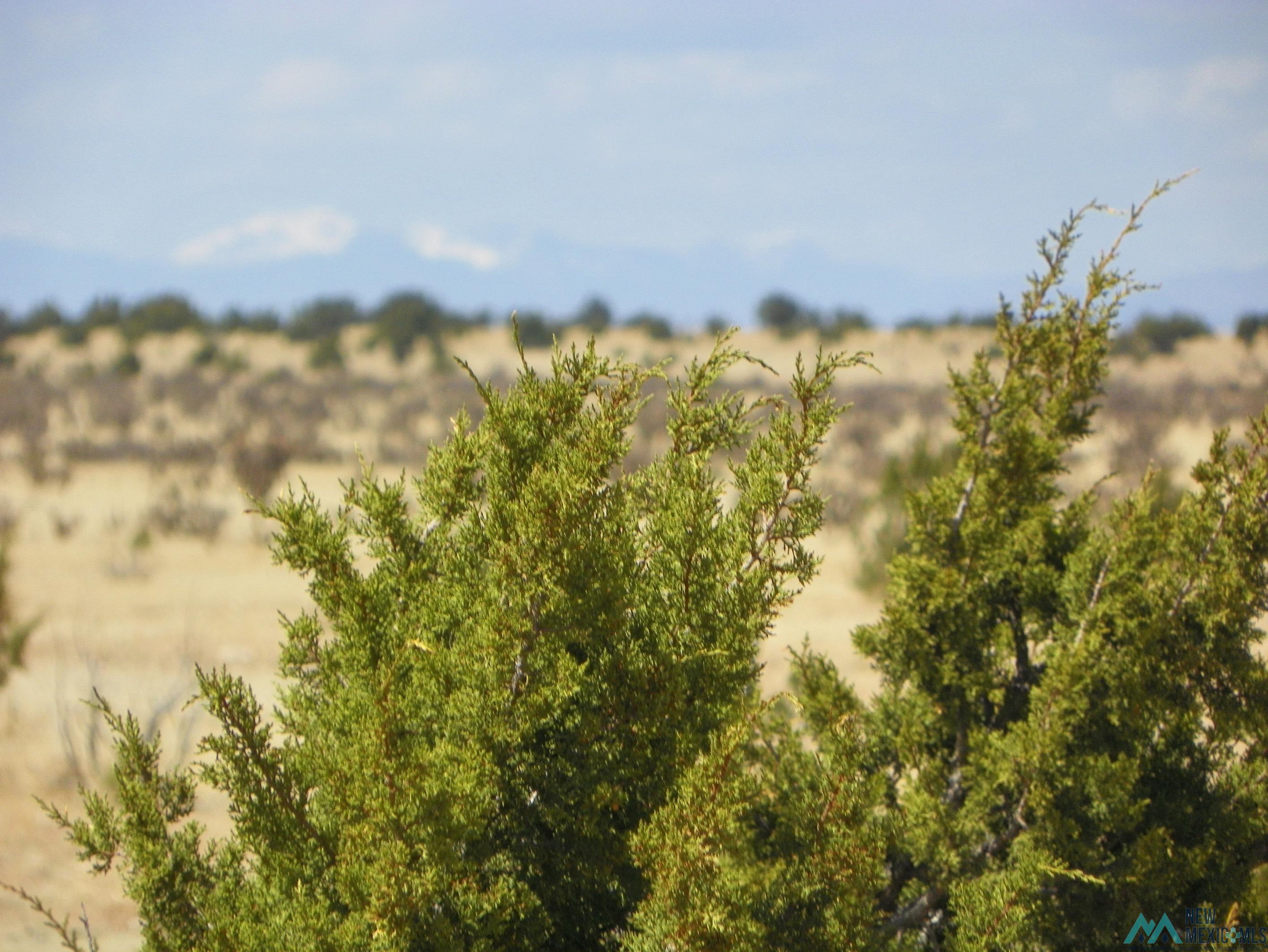 0000 Pecos Spur, Santa Rosa, New Mexico image 14