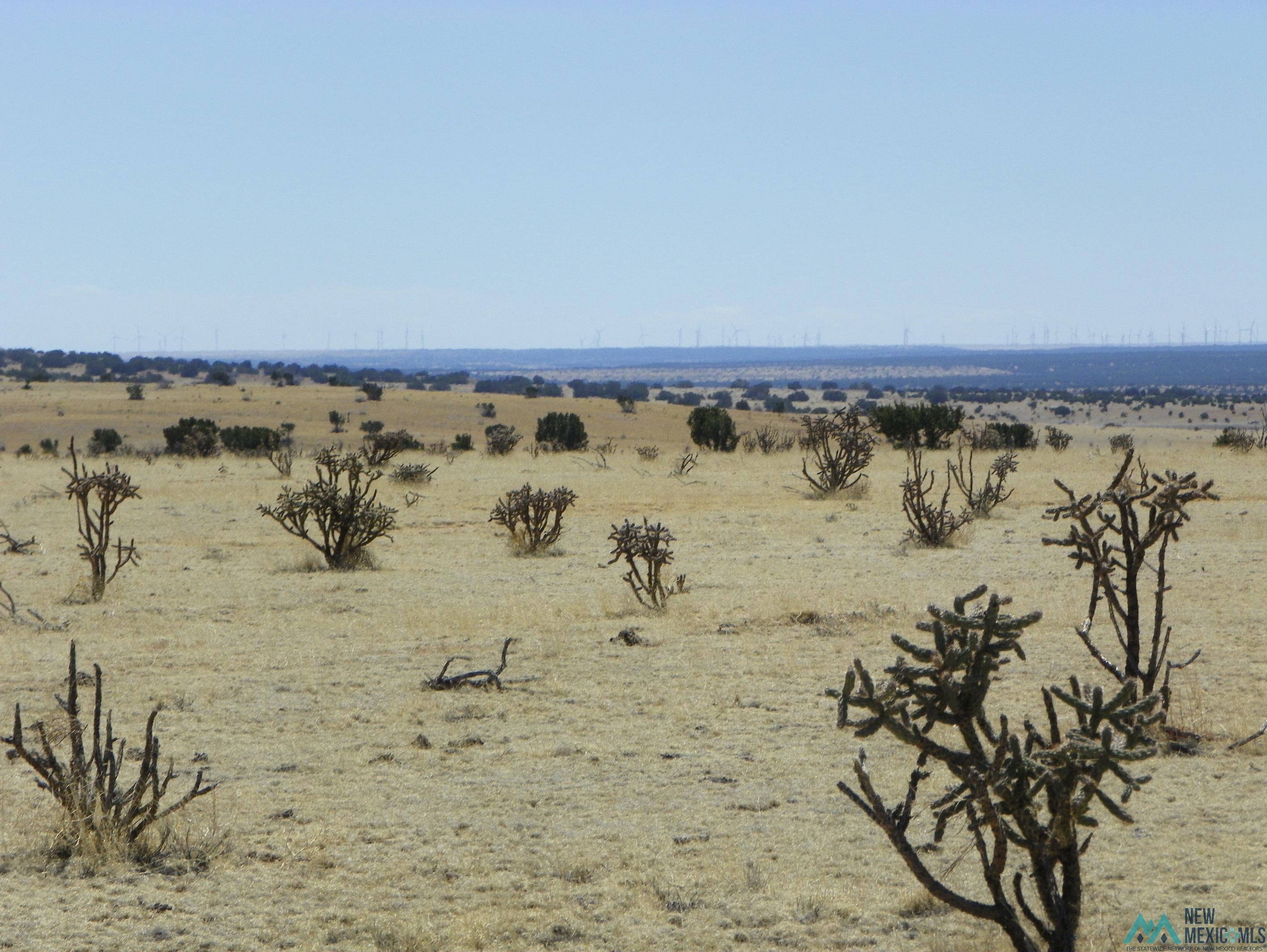 0000 Pecos Spur, Santa Rosa, New Mexico image 5