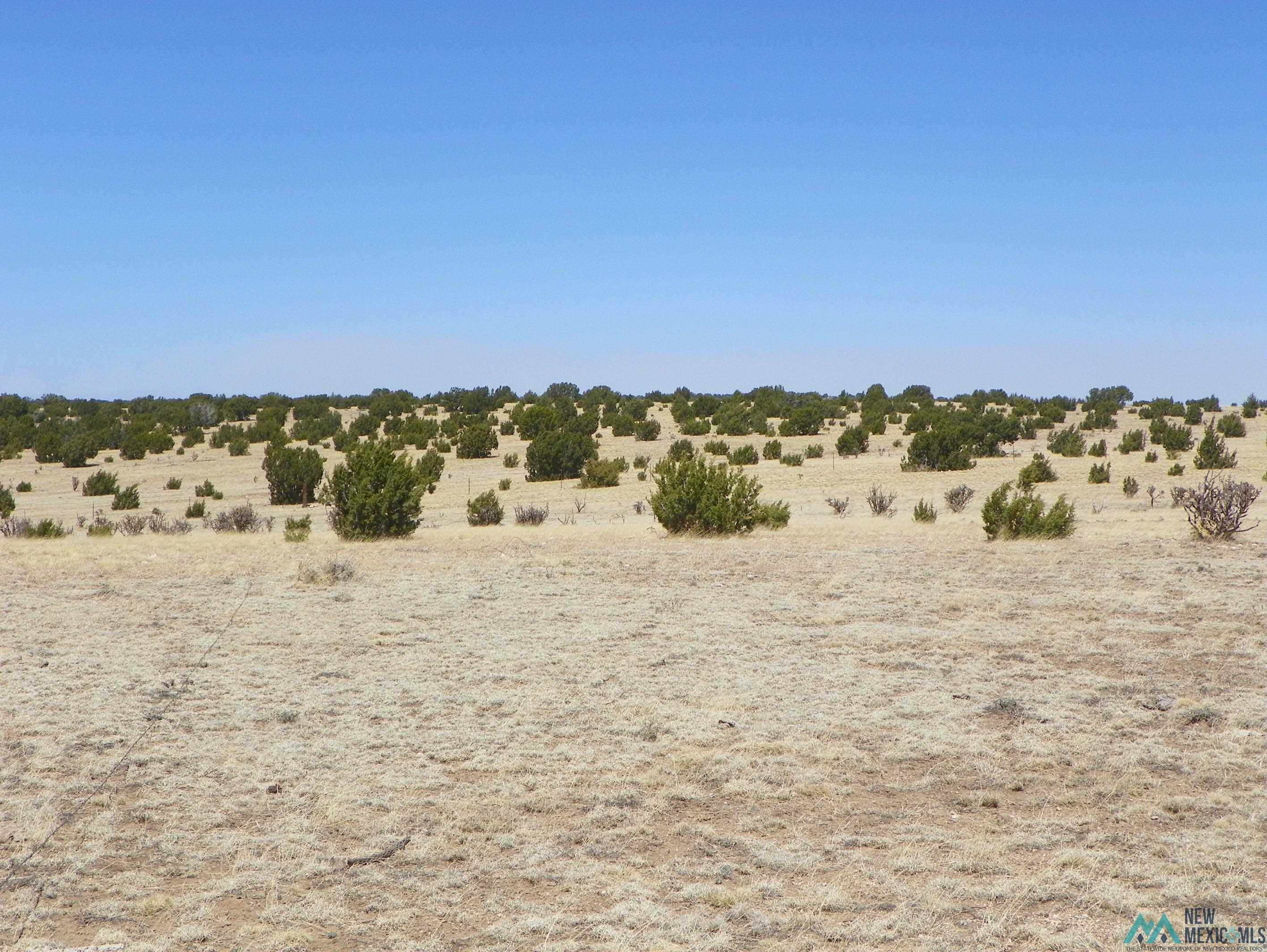 0000 Pecos Spur, Santa Rosa, New Mexico image 20