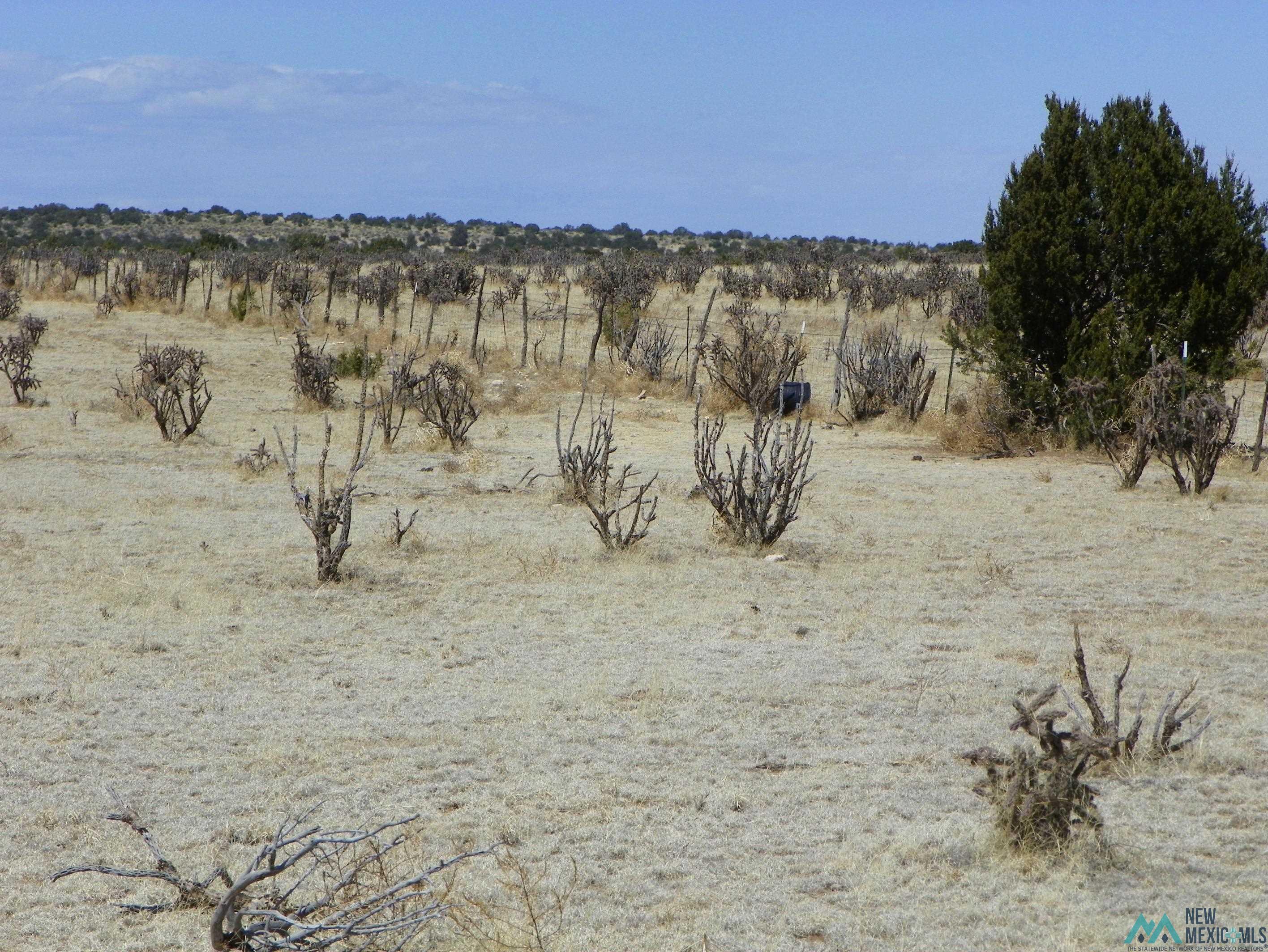 0000 Pecos Spur, Santa Rosa, New Mexico image 12