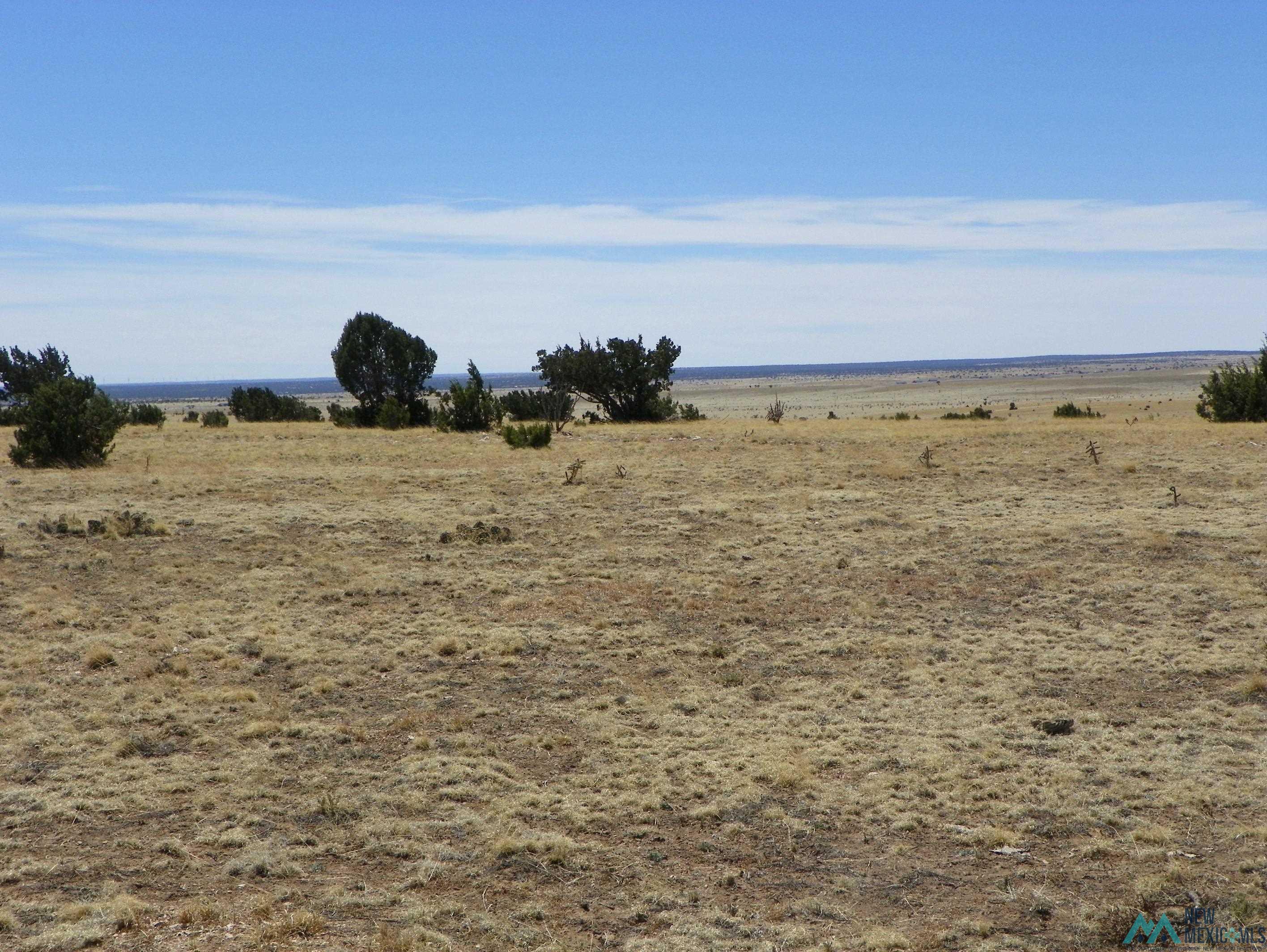 0000 Pecos Spur, Santa Rosa, New Mexico image 19