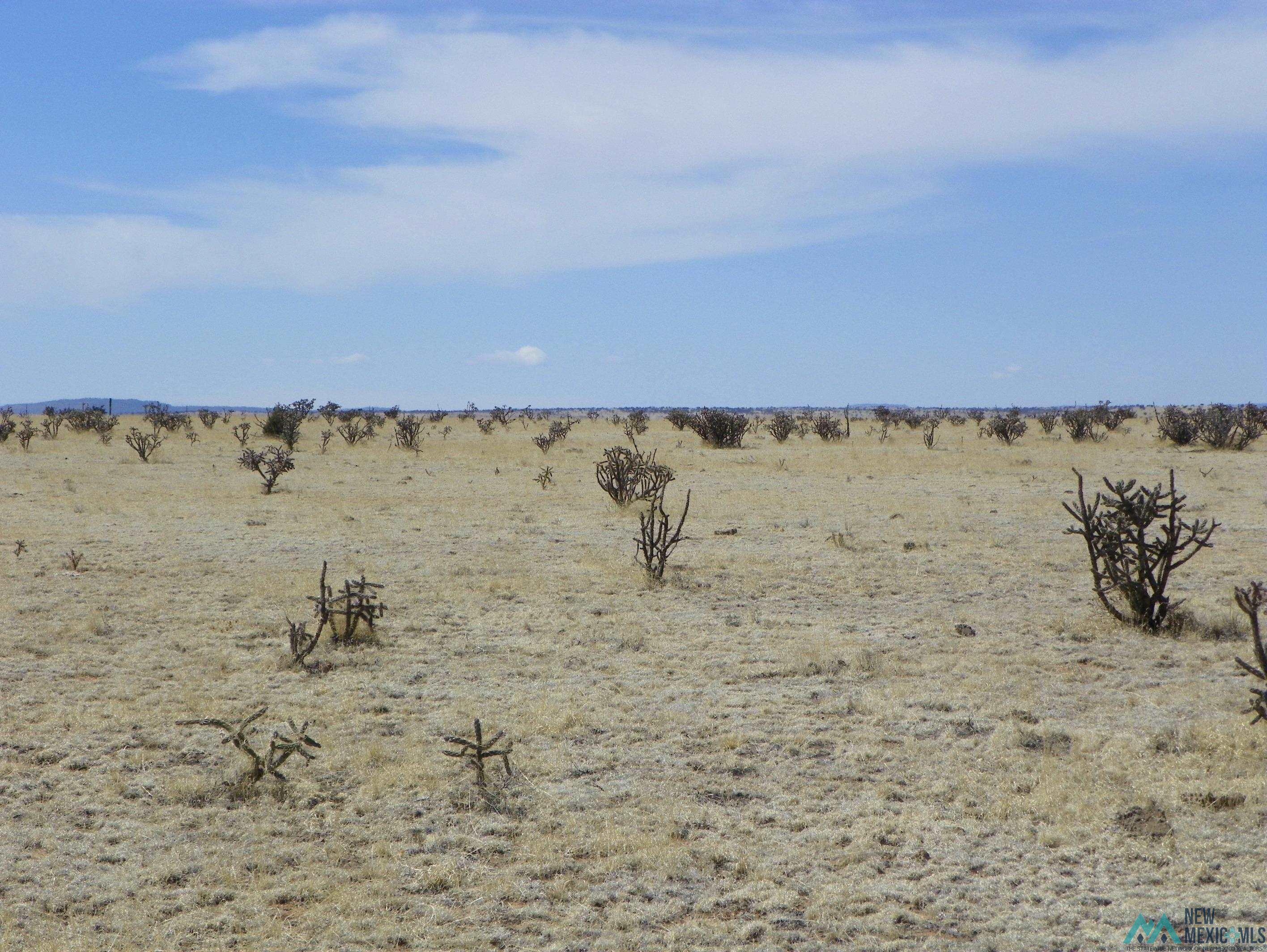 0000 Pecos Spur, Santa Rosa, New Mexico image 8