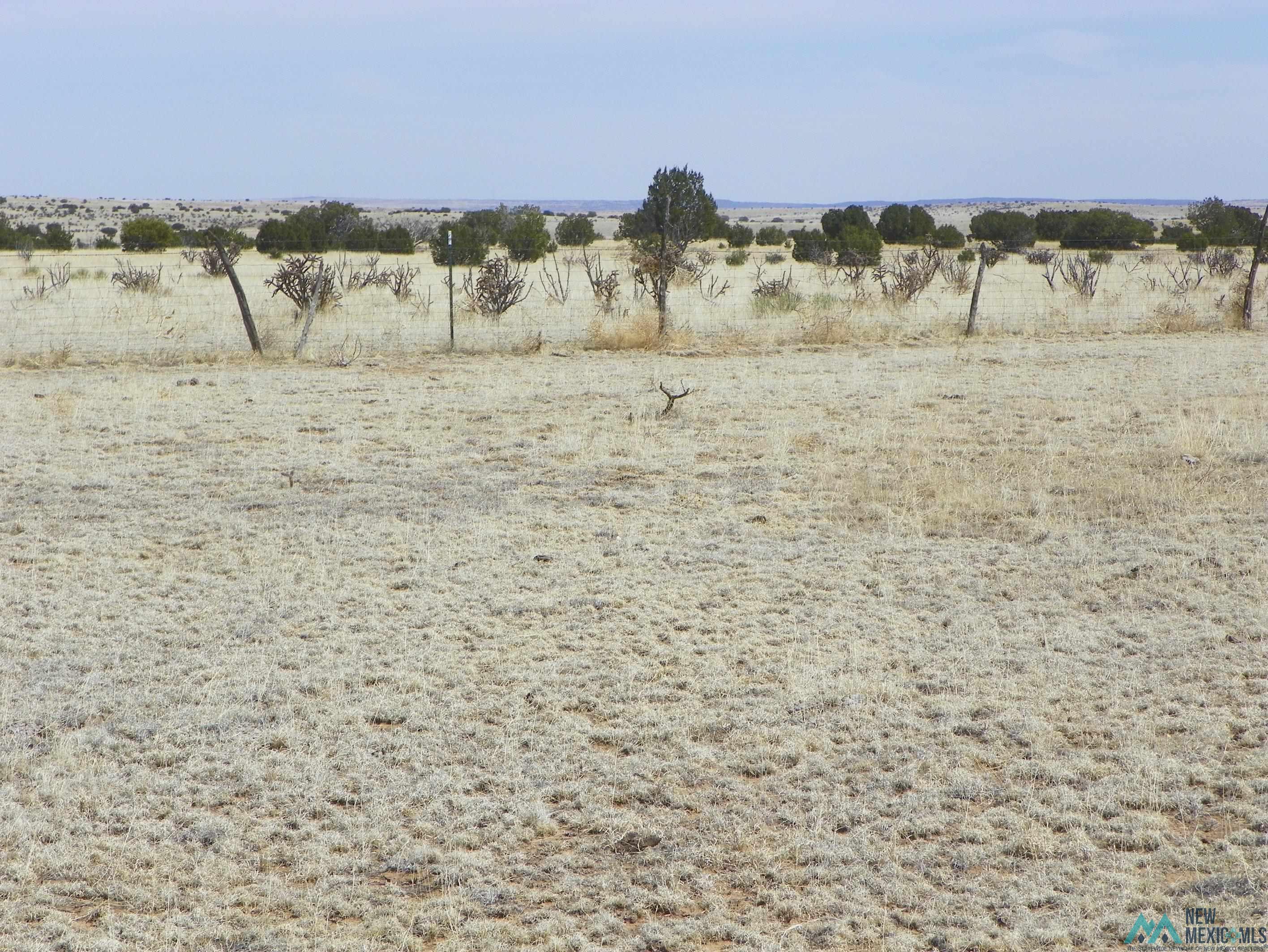 0000 Pecos Spur, Santa Rosa, New Mexico image 11