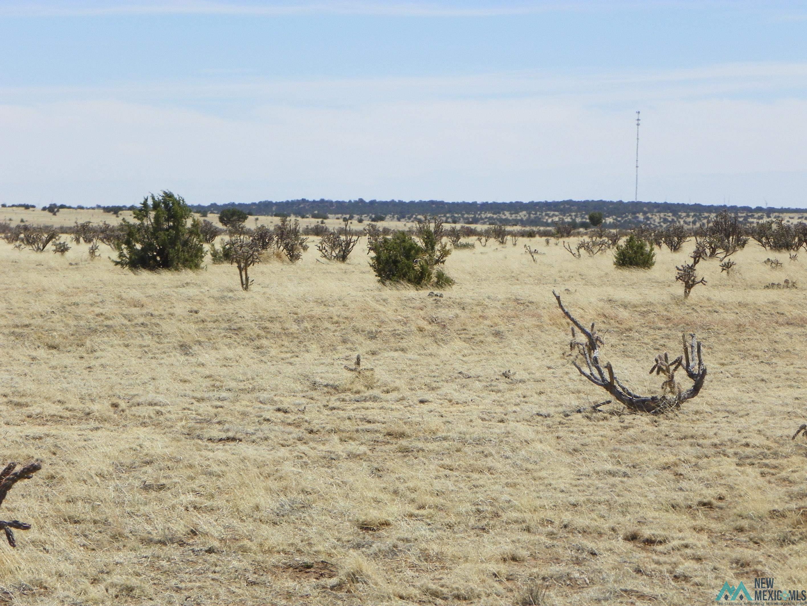 0000 Pecos Spur, Santa Rosa, New Mexico image 29