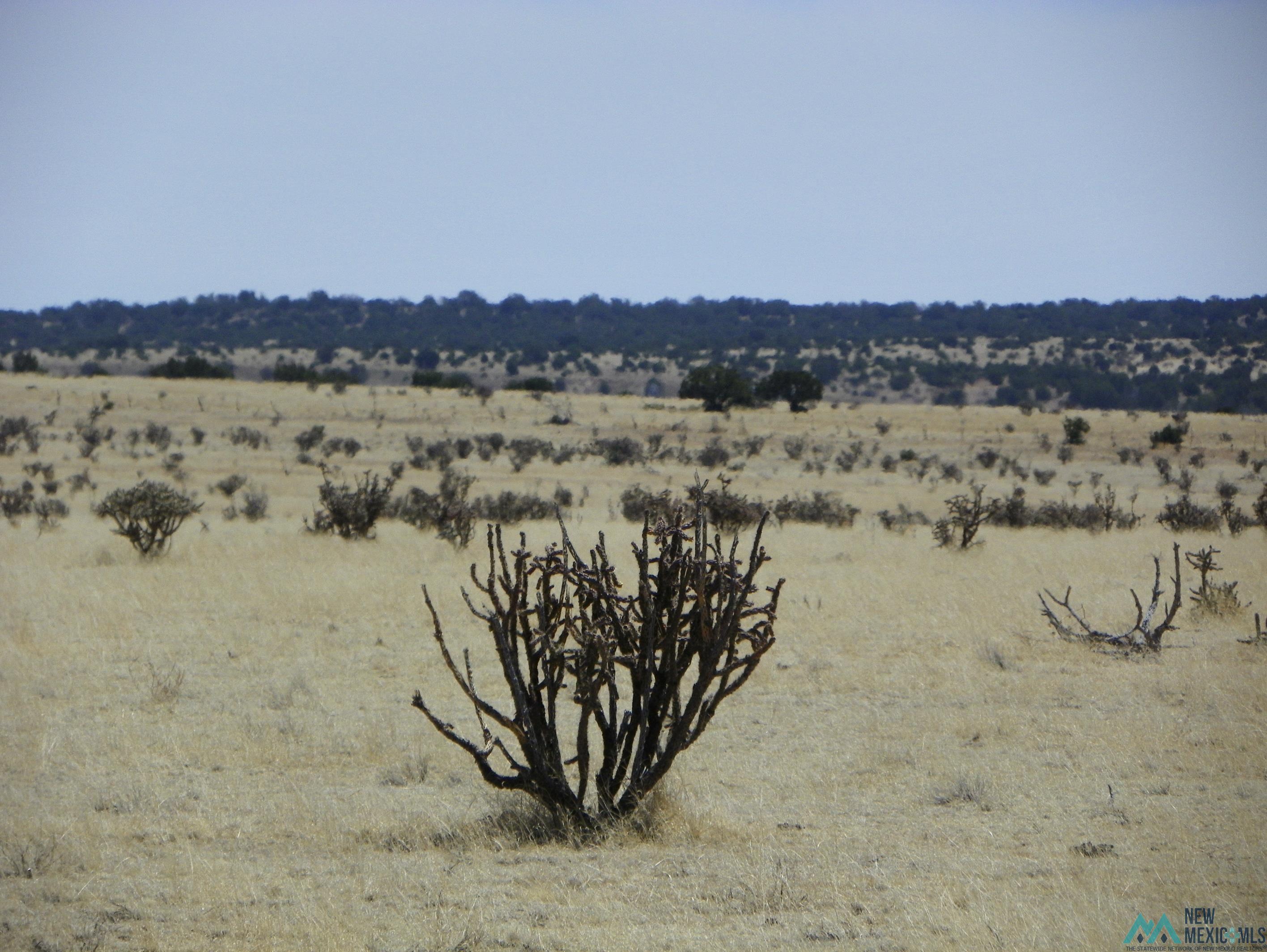 0000 Pecos Spur, Santa Rosa, New Mexico image 7