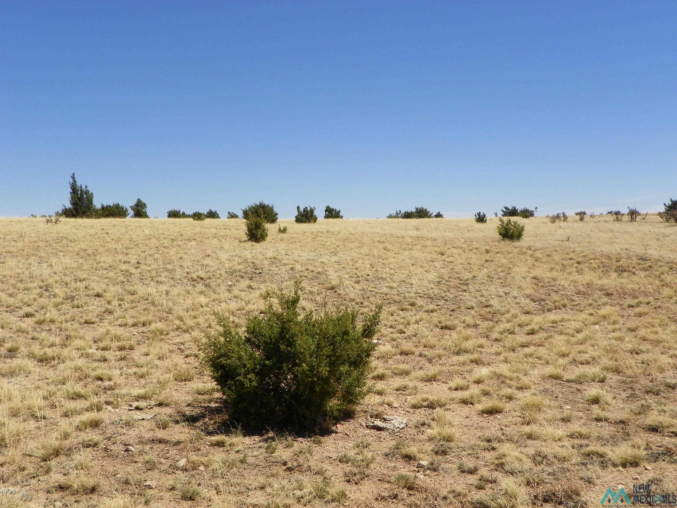 0000 Pecos Spur, Santa Rosa, New Mexico image 22