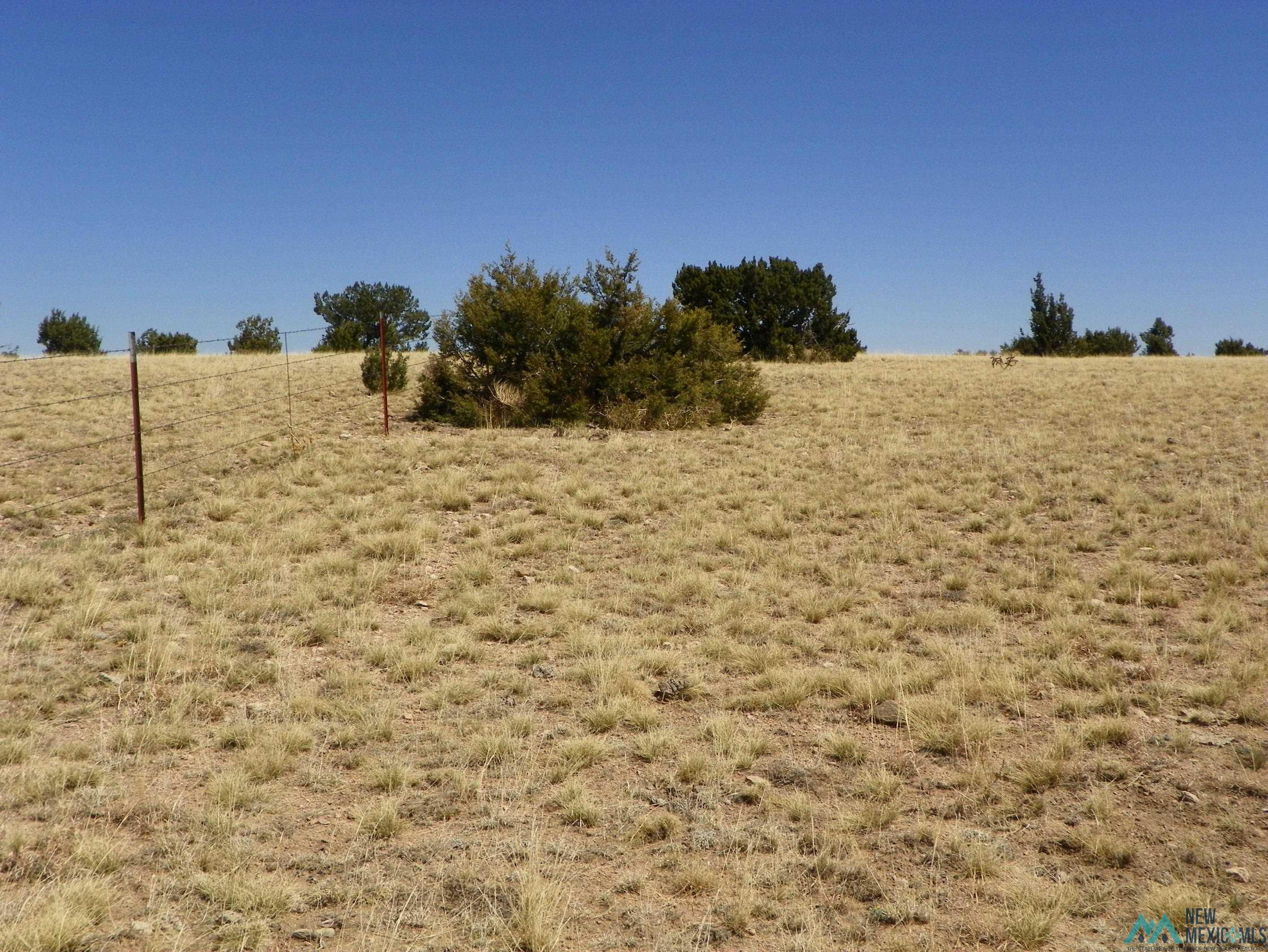 0000 Pecos Spur, Santa Rosa, New Mexico image 23