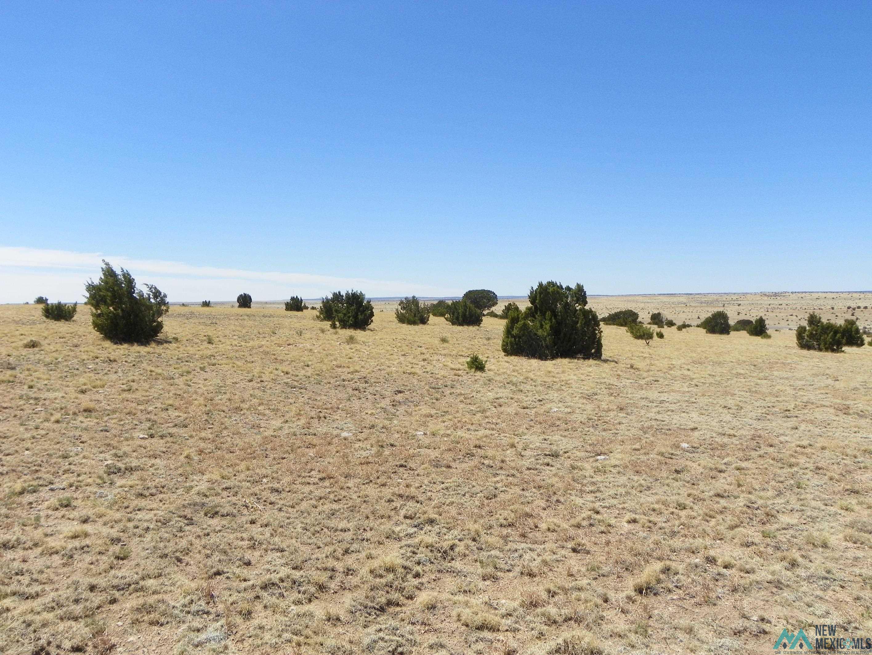 0000 Pecos Spur, Santa Rosa, New Mexico image 28