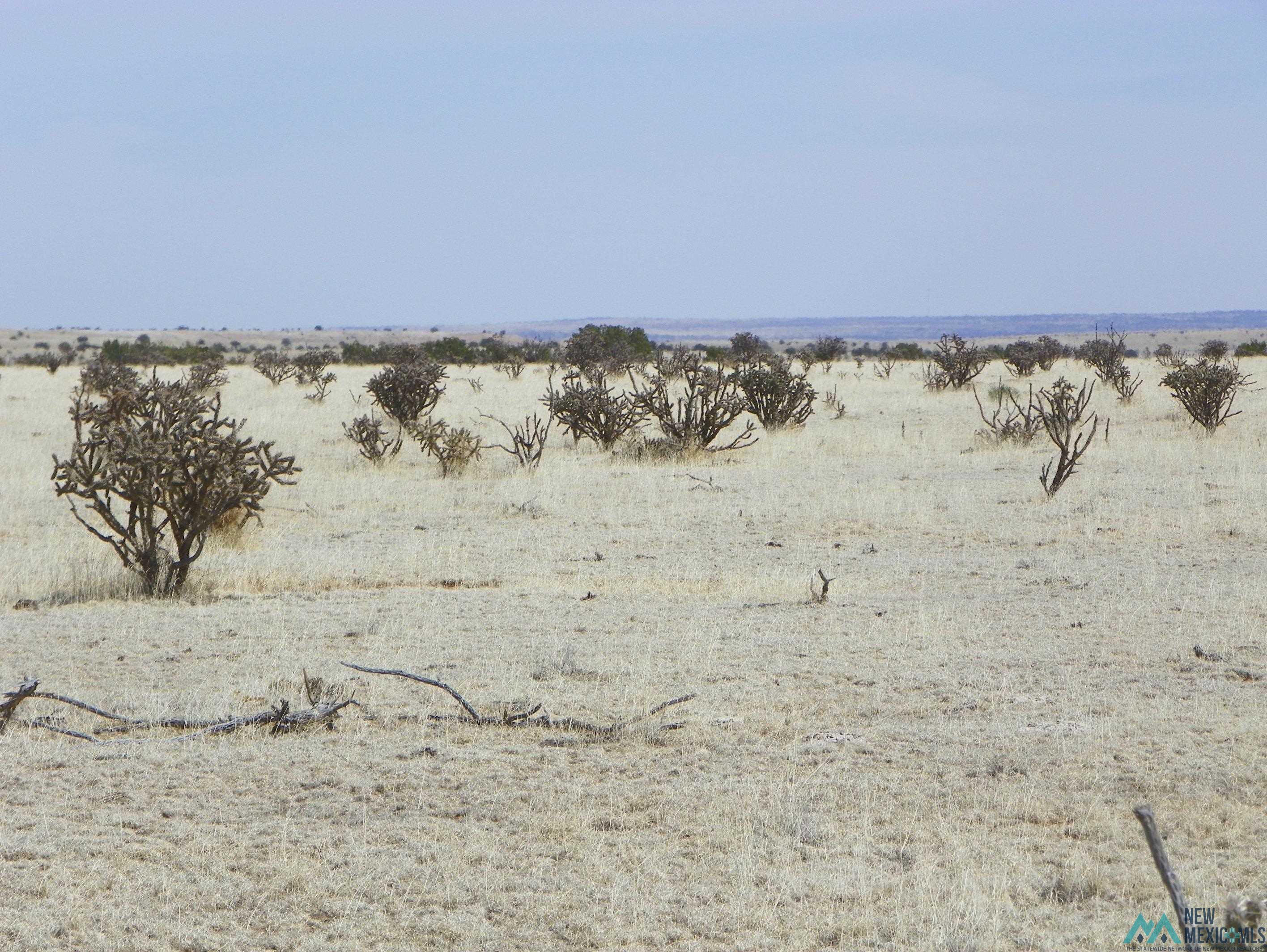 0000 Pecos Spur, Santa Rosa, New Mexico image 10