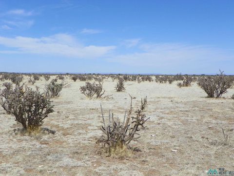 Vacant Land For Sale - 0000 Pecos Spur<br/> Guadalupe County, Santa Rosa, NM 88435