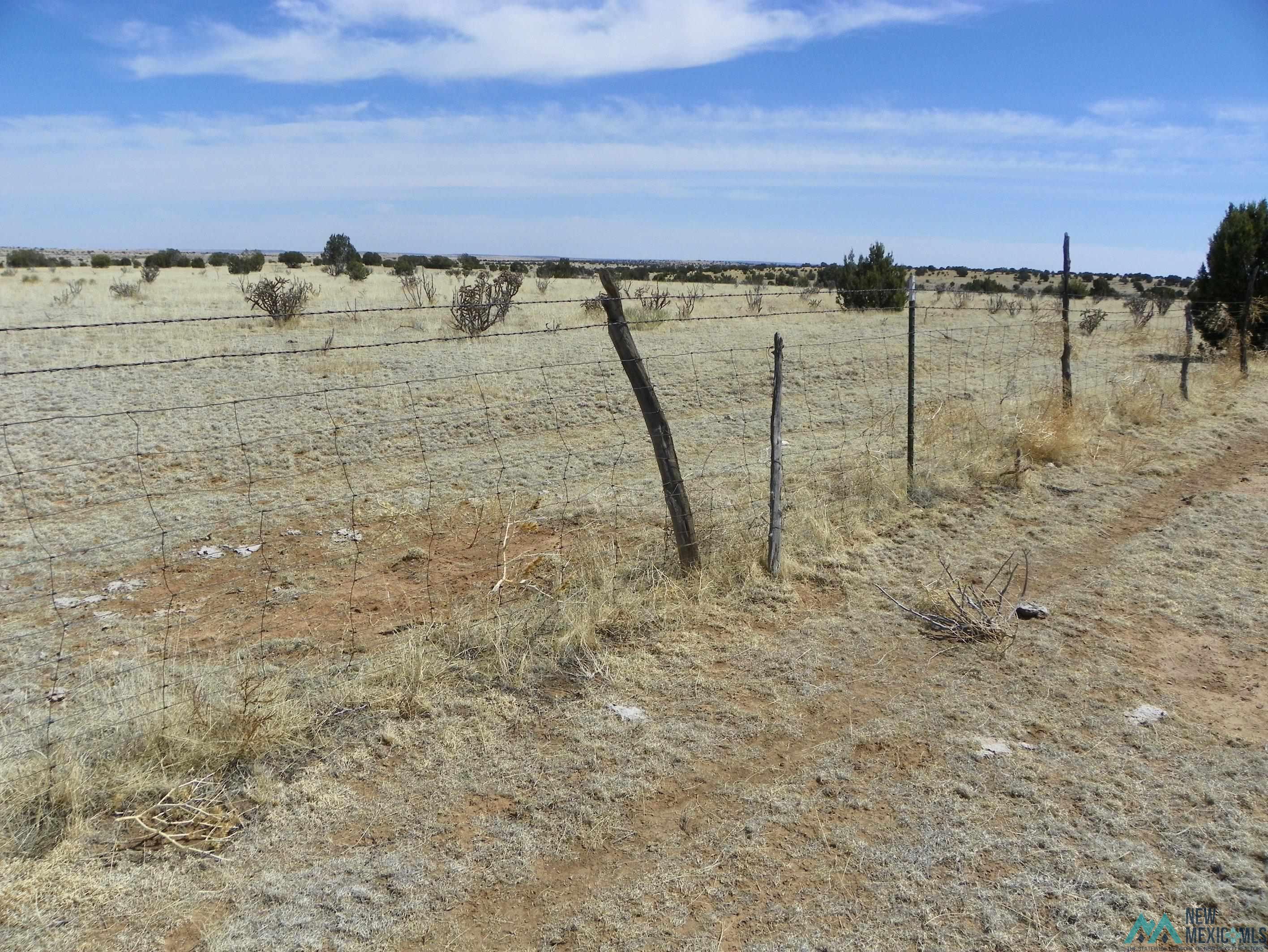 0000 Pecos Spur, Santa Rosa, New Mexico image 13