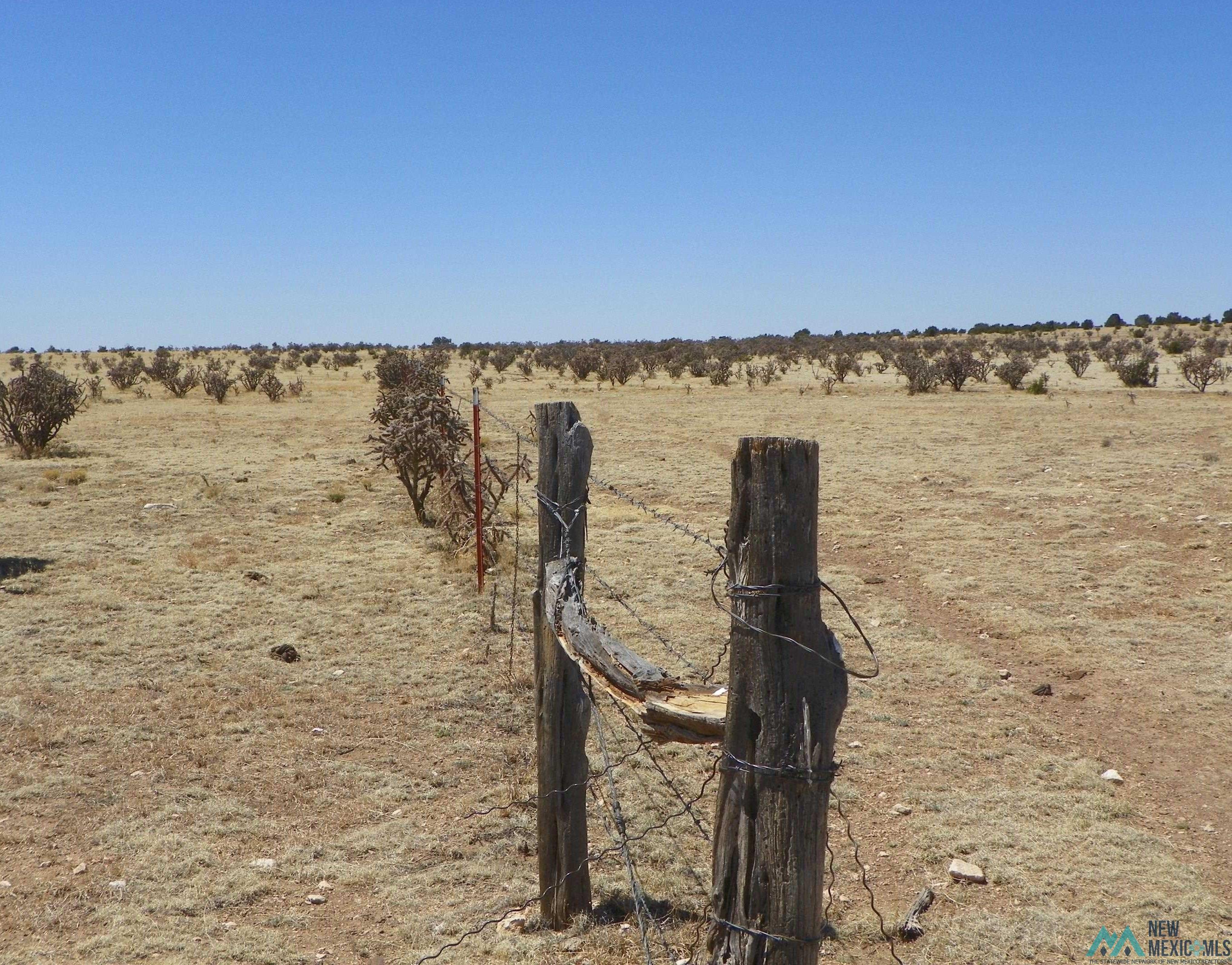 0000 Pecos Spur, Santa Rosa, New Mexico image 16