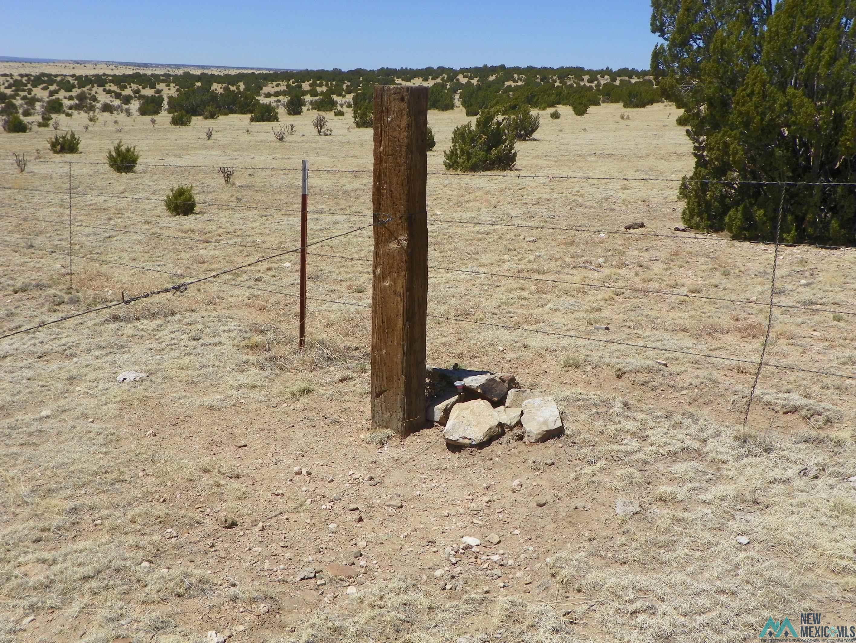 0000 Pecos Spur, Santa Rosa, New Mexico image 21