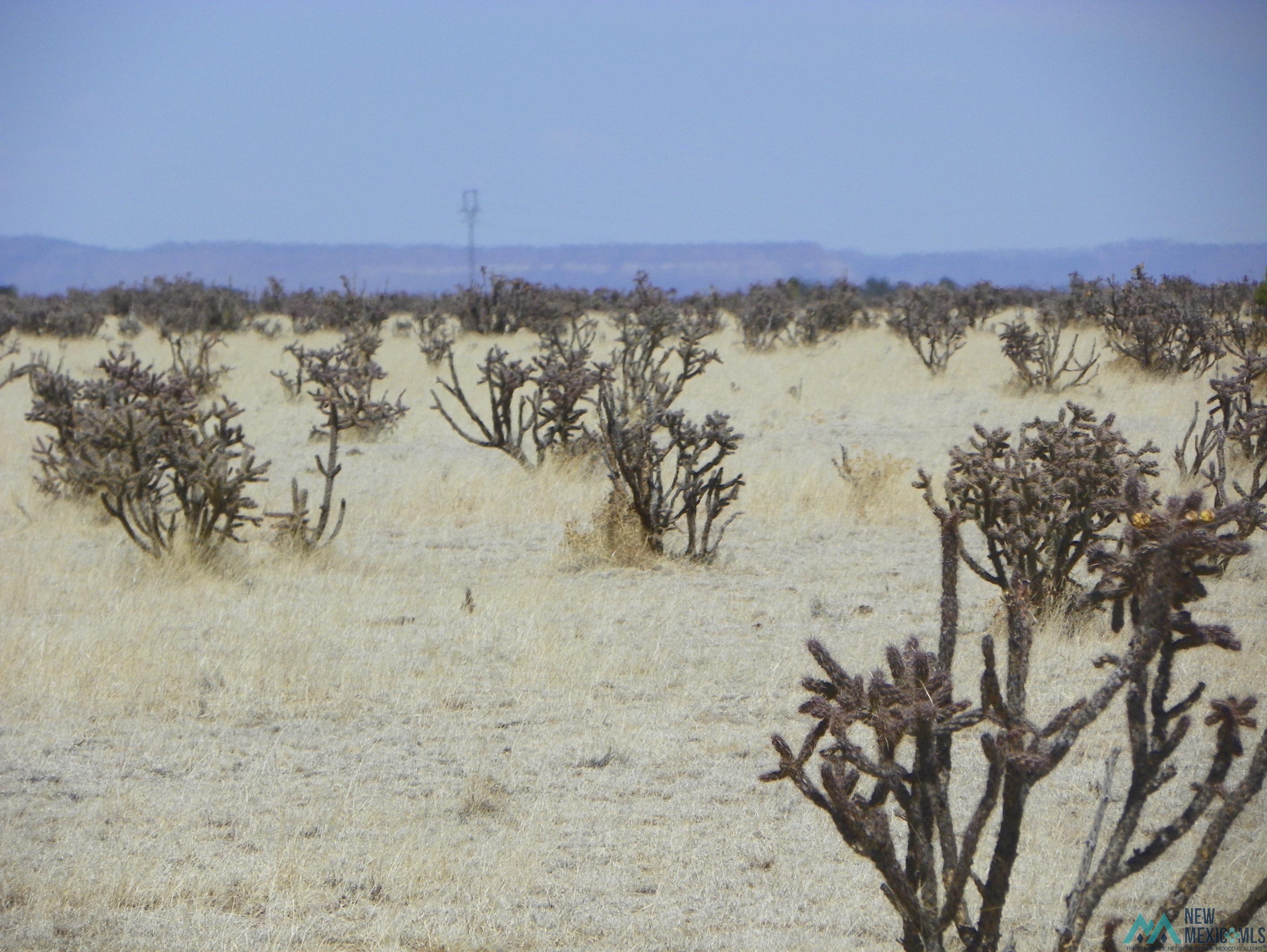 0000 Pecos Spur, Santa Rosa, New Mexico image 6