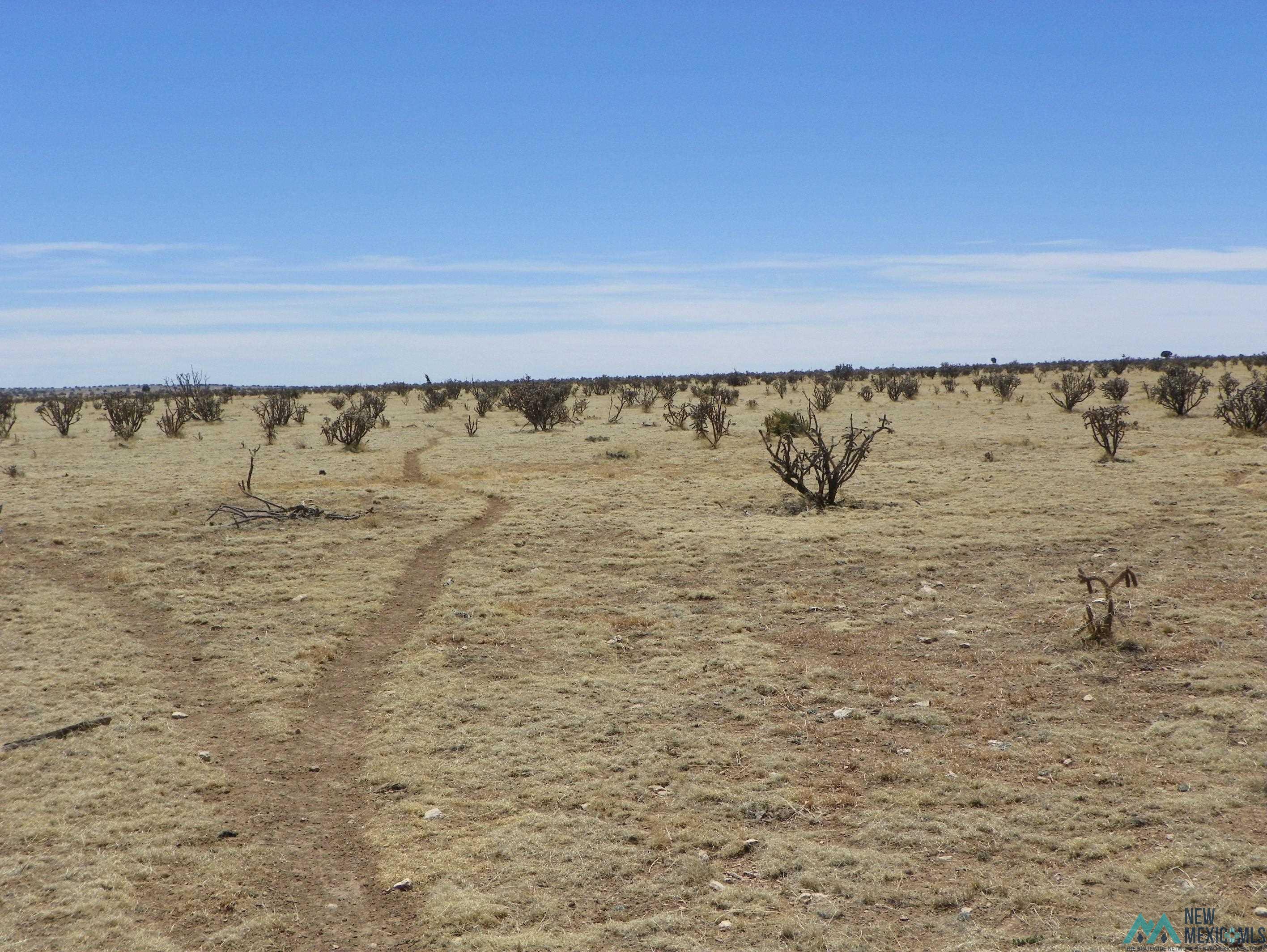 0000 Pecos Spur, Santa Rosa, New Mexico image 17