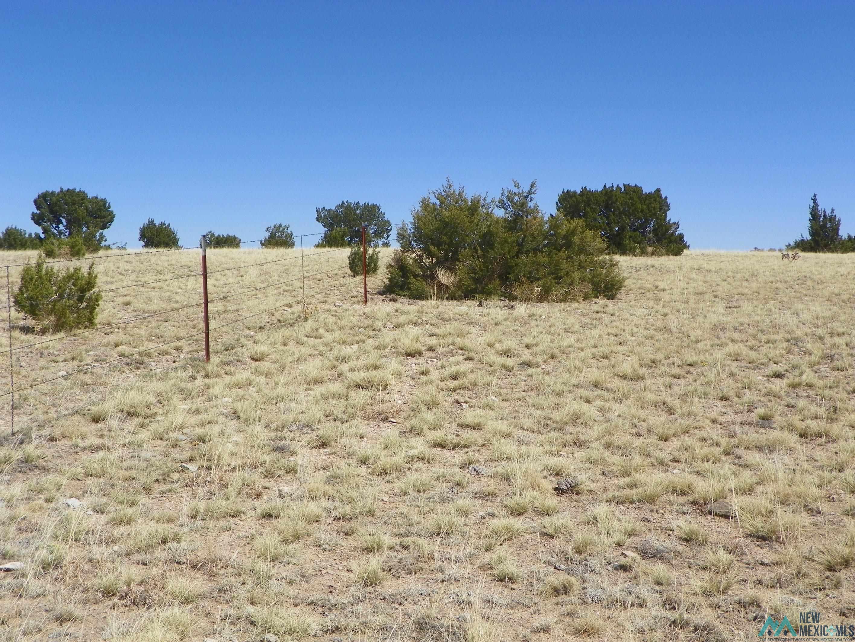 0000 Pecos Spur, Santa Rosa, New Mexico image 24