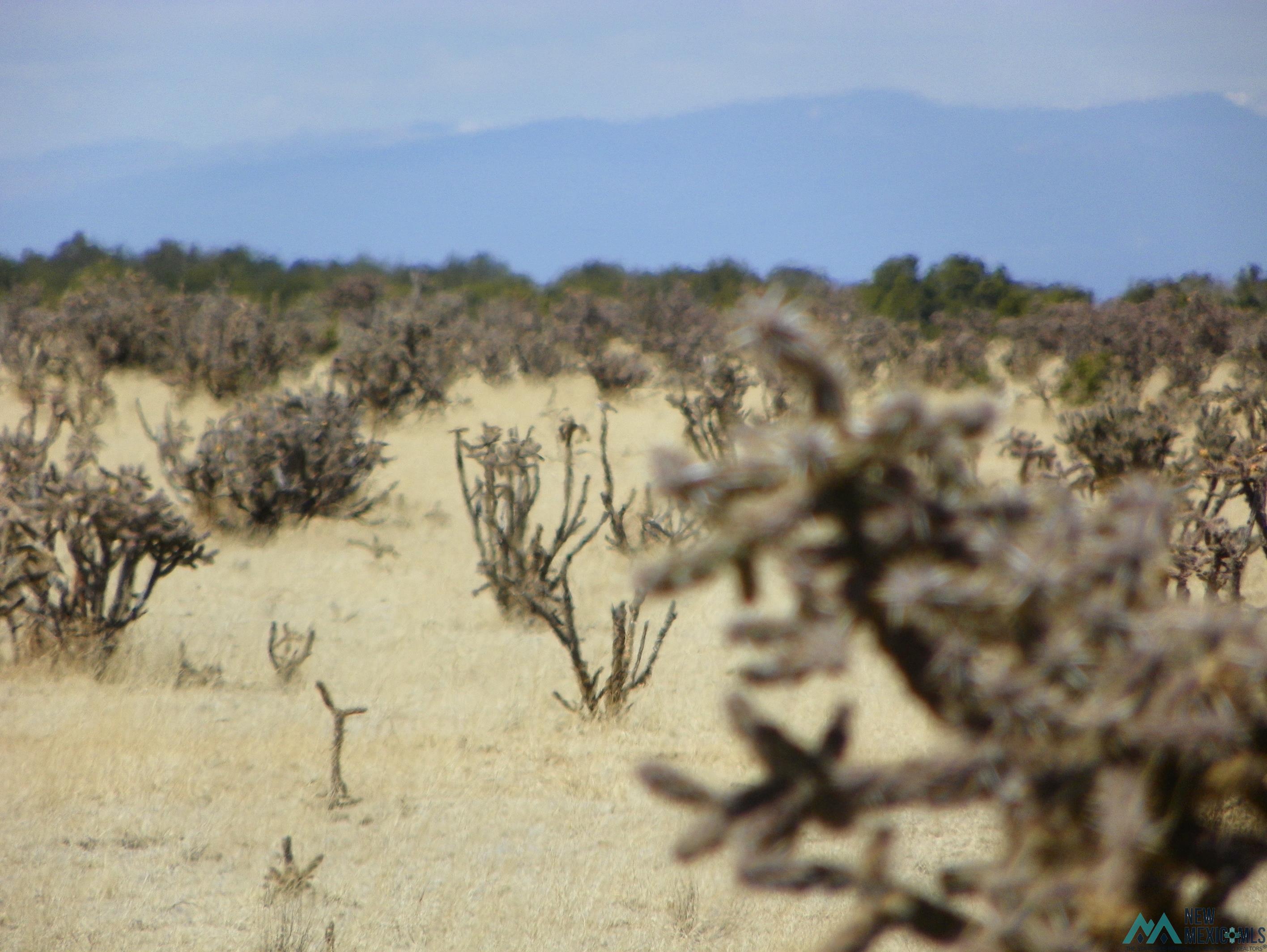 0000 Pecos Spur, Santa Rosa, New Mexico image 9