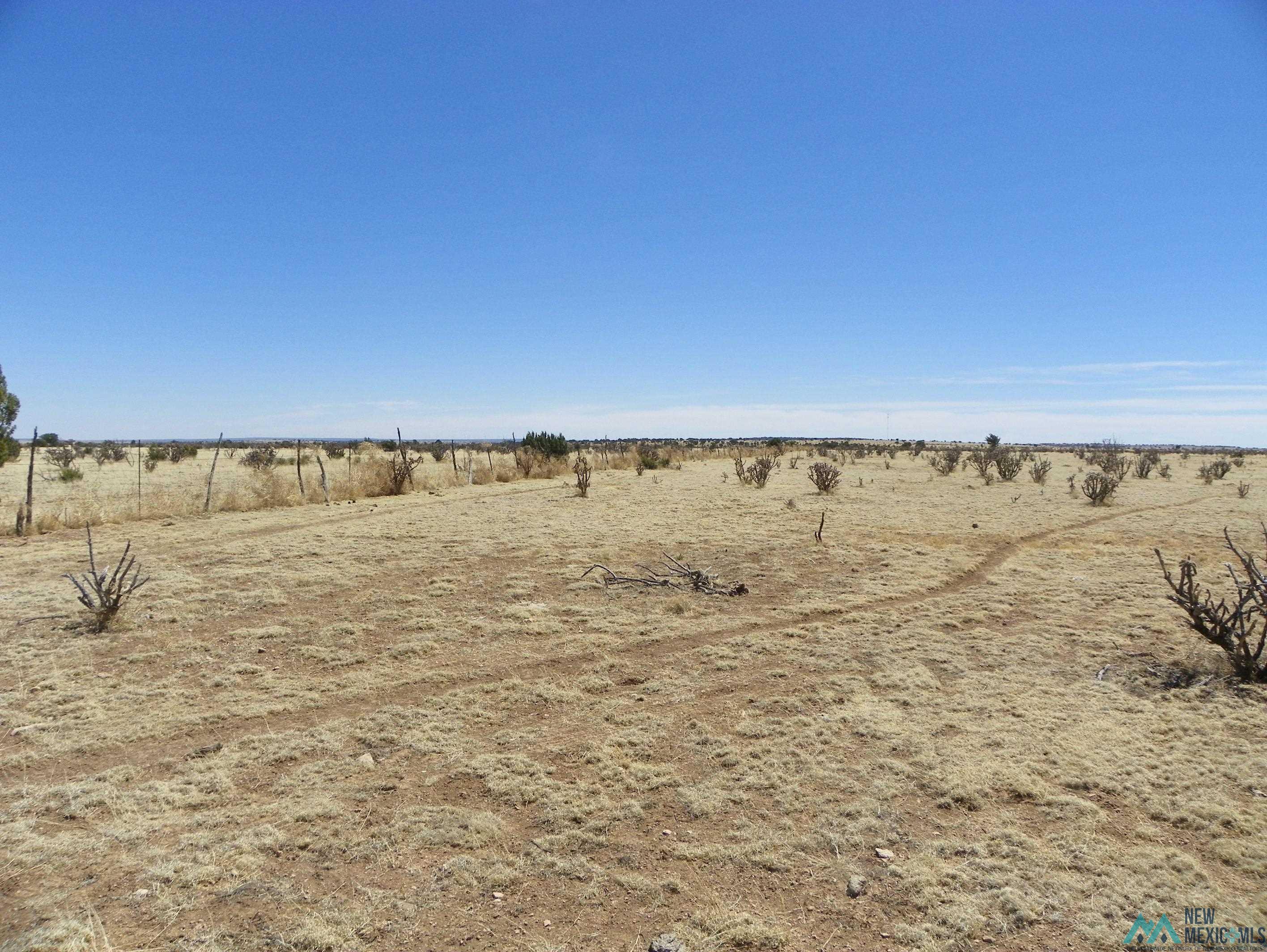 0000 Pecos Spur, Santa Rosa, New Mexico image 15