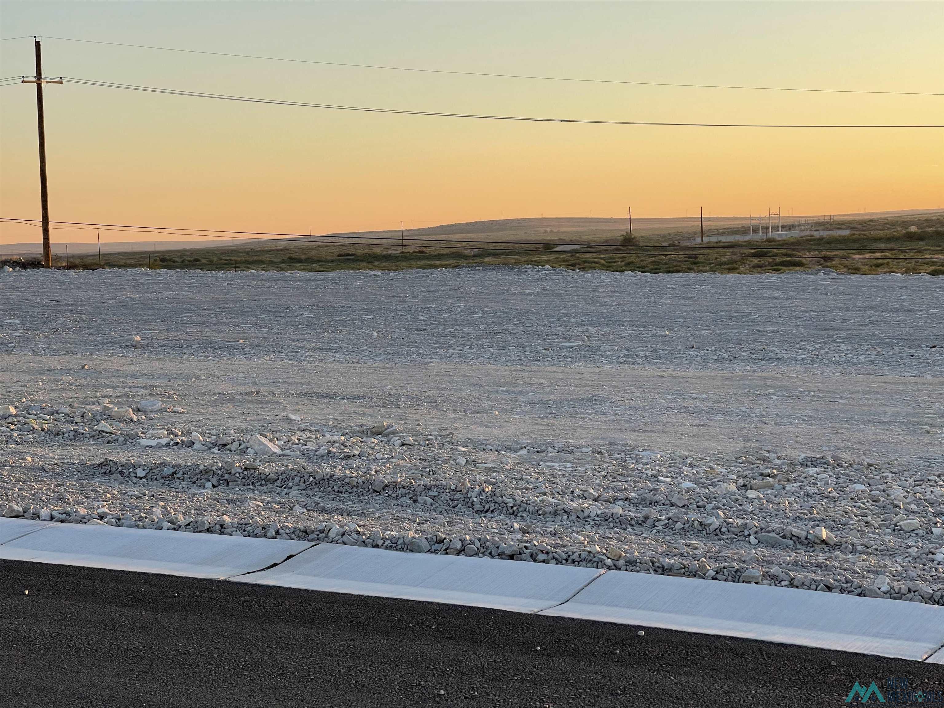 1601 Skyline Drive, Carlsbad, New Mexico image 3