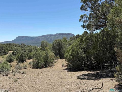 Vacant Land For Sale - Christy Lane<br/> Rio Arriba County, Chama, NM 87520