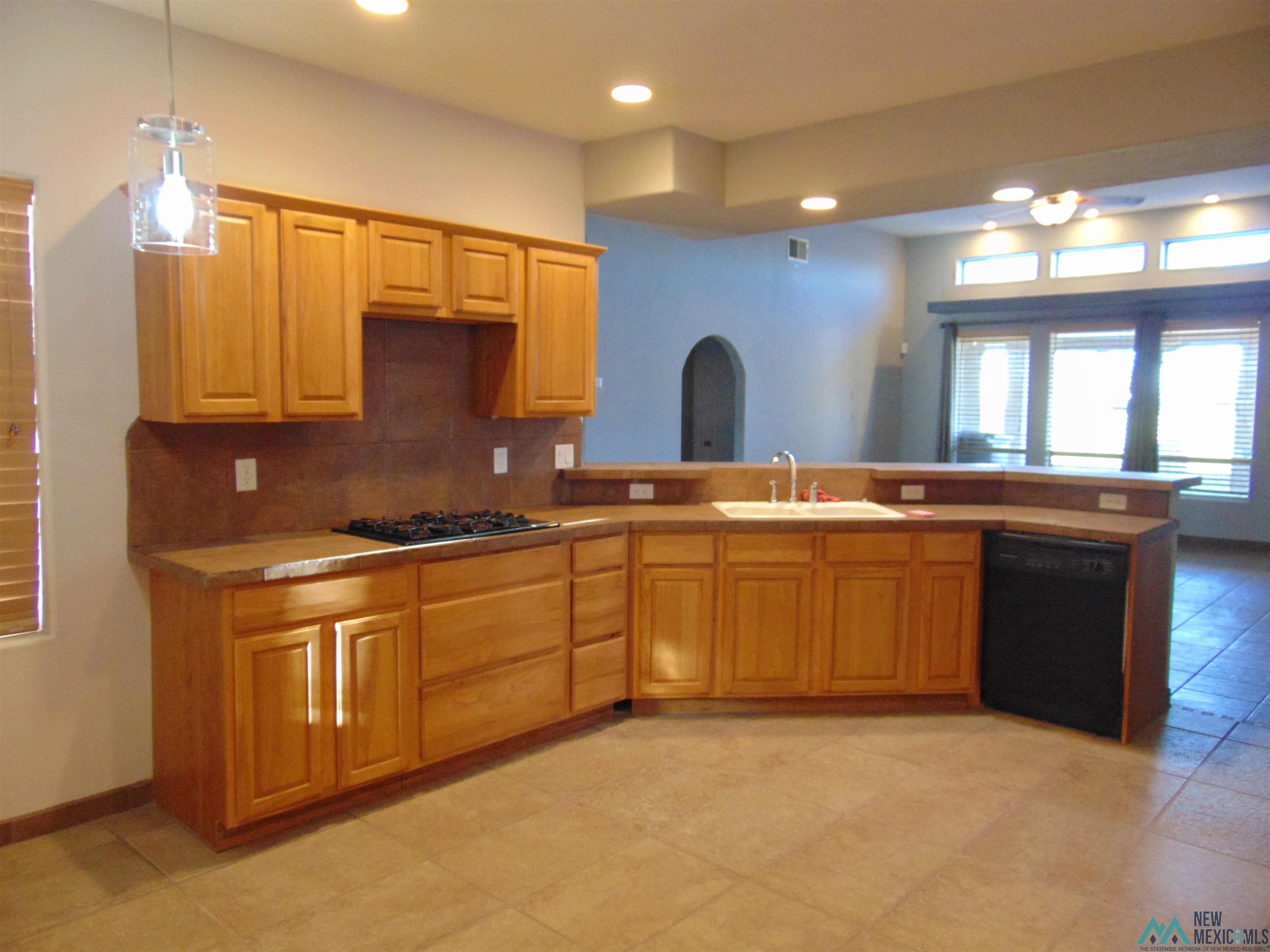 100 S Golf Drive, Deming, Texas image 4