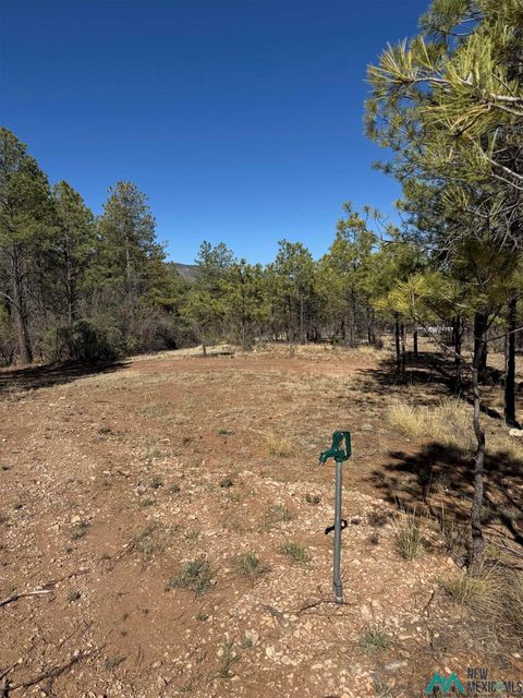 Vacant Land For Sale - LOT8&9 Winter Drive<br/> Otero County, Timberon, NM 88350