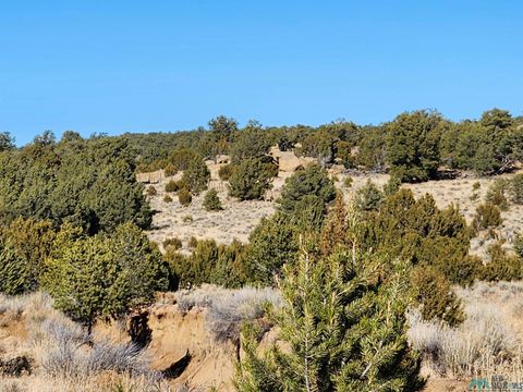 Vacant Land For Sale - TBD Ponderosa Ranches Road<br/> Catron County, Pie Town, NM 87827