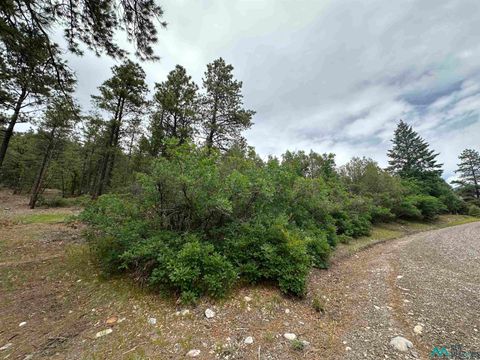 Vacant Land For Sale - TBD Private Drive 1754 Drive<br/> Rio Arriba County, Chama, NM 87520