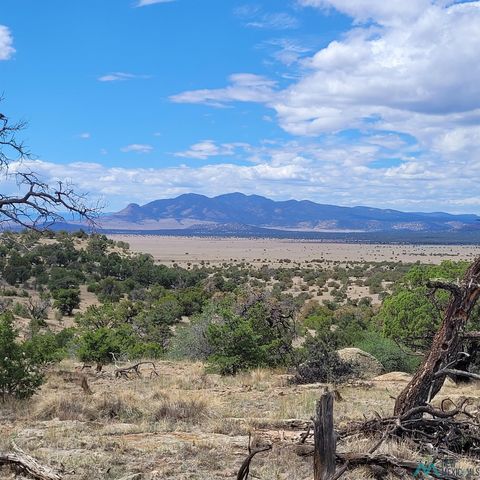 Vacant Land For Sale - XX Lookout Loop<br/> Catron County, Datil, NM 87821