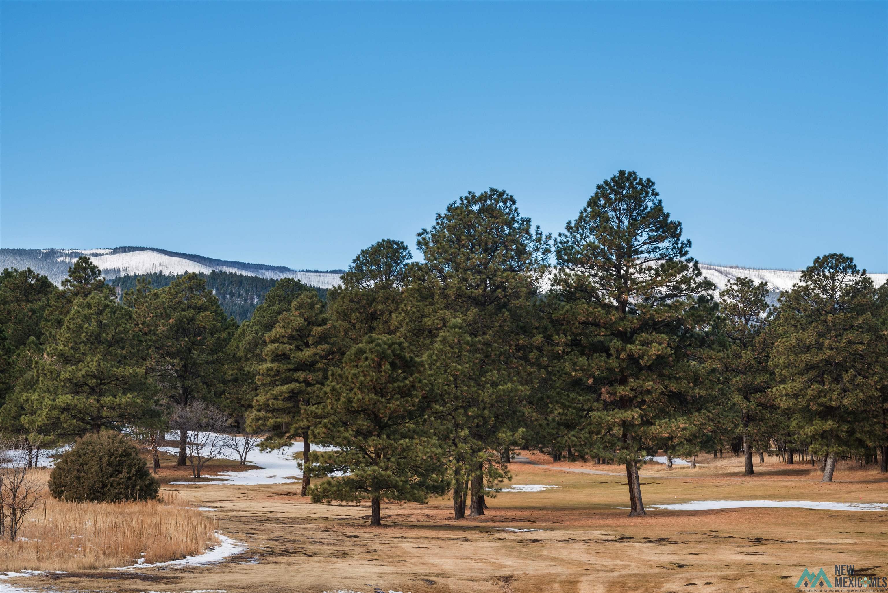 Lot 92 West Drive, Rociada, New Mexico image 1