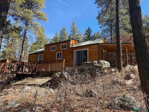 Homes For Sale - 101 Oak Meadow Drive<br/> Rio Arriba County, Chama, NM 87520