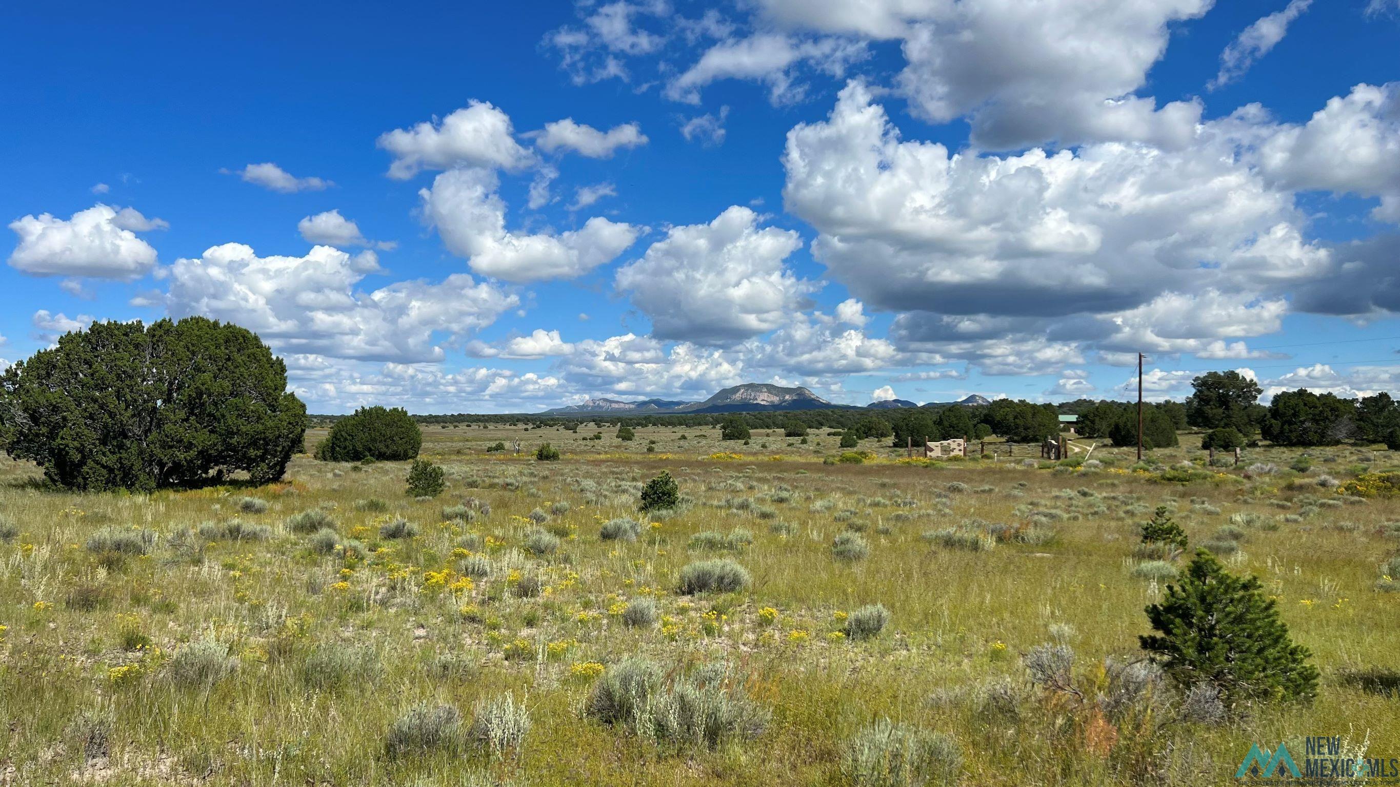 Buckhorn Circle, Pie Town, New Mexico image 1