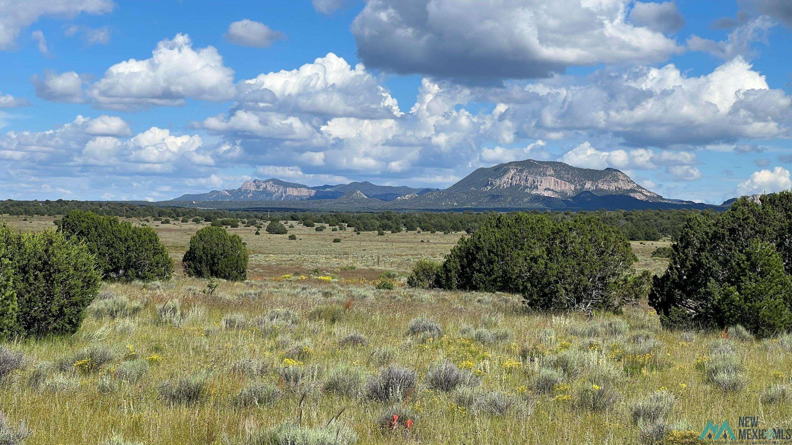 Buckhorn Circle, Pie Town, New Mexico image 7