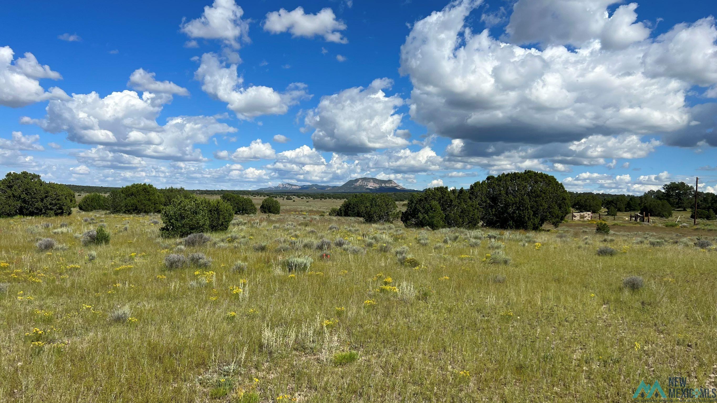 Buckhorn Circle, Pie Town, New Mexico image 6