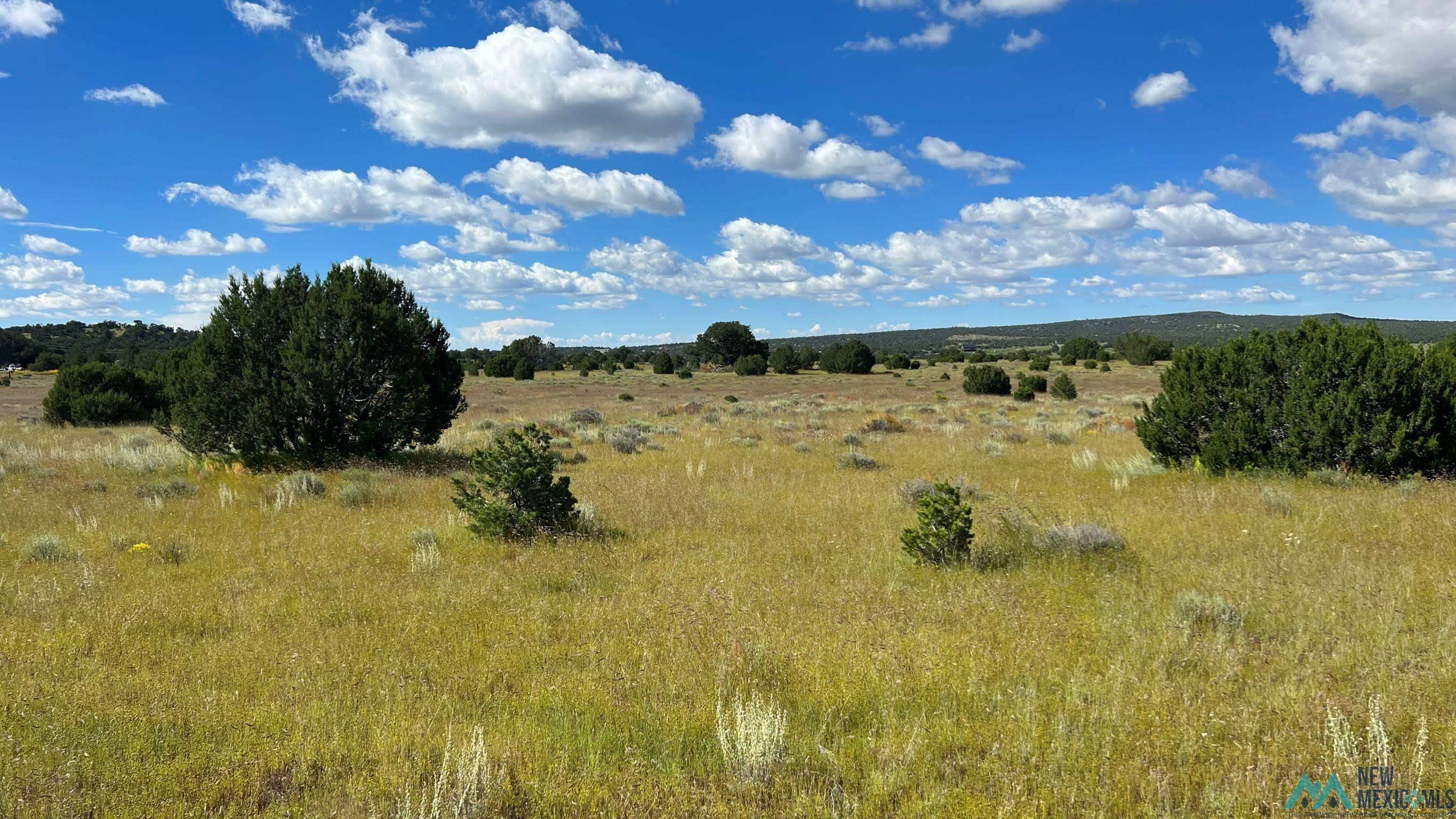 Buckhorn Circle, Pie Town, New Mexico image 4