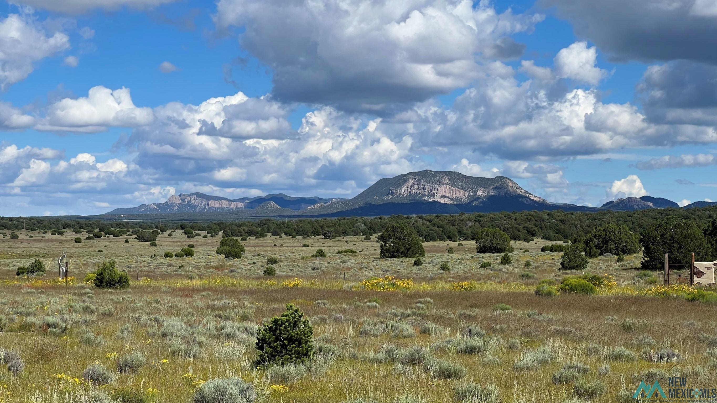 Buckhorn Circle, Pie Town, New Mexico image 2