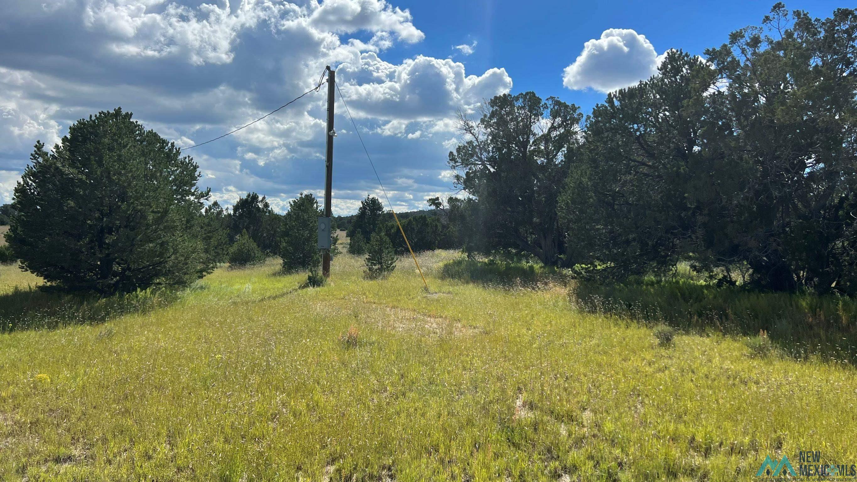 Buckhorn Circle, Pie Town, New Mexico image 11