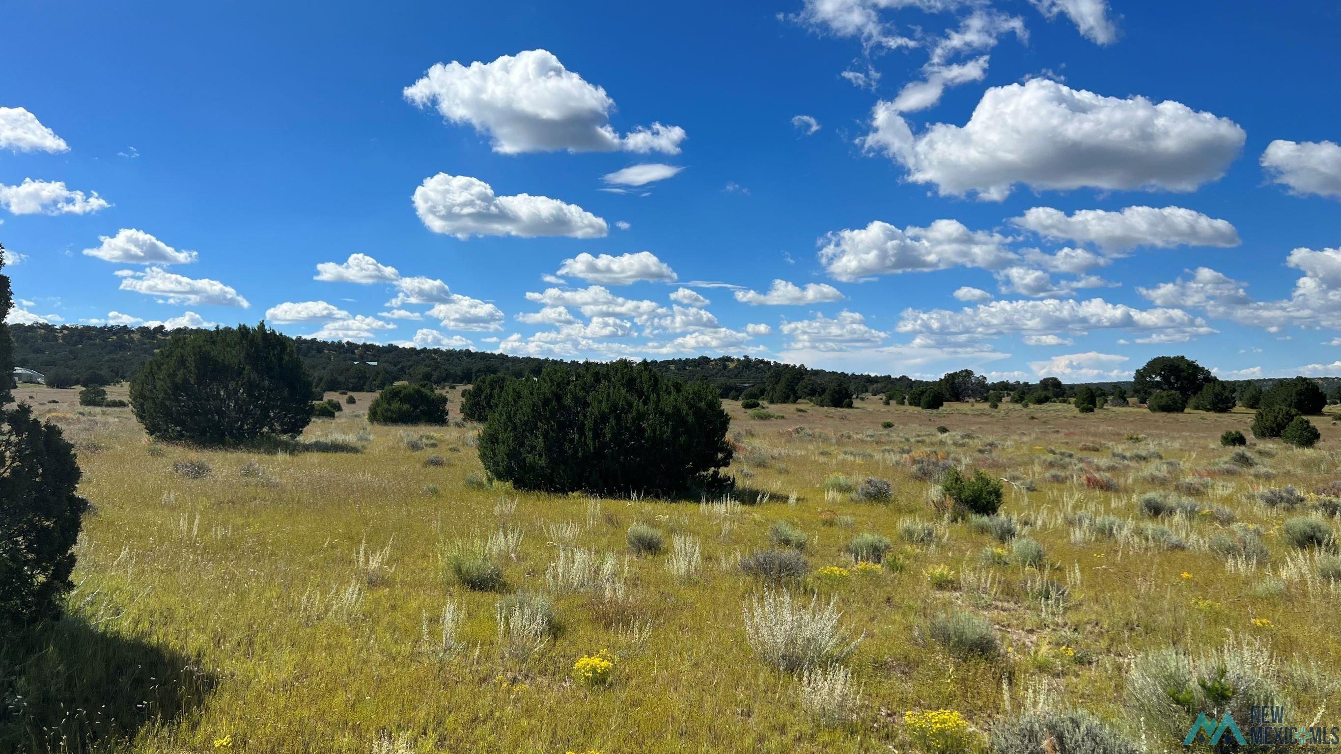 Buckhorn Circle, Pie Town, New Mexico image 10