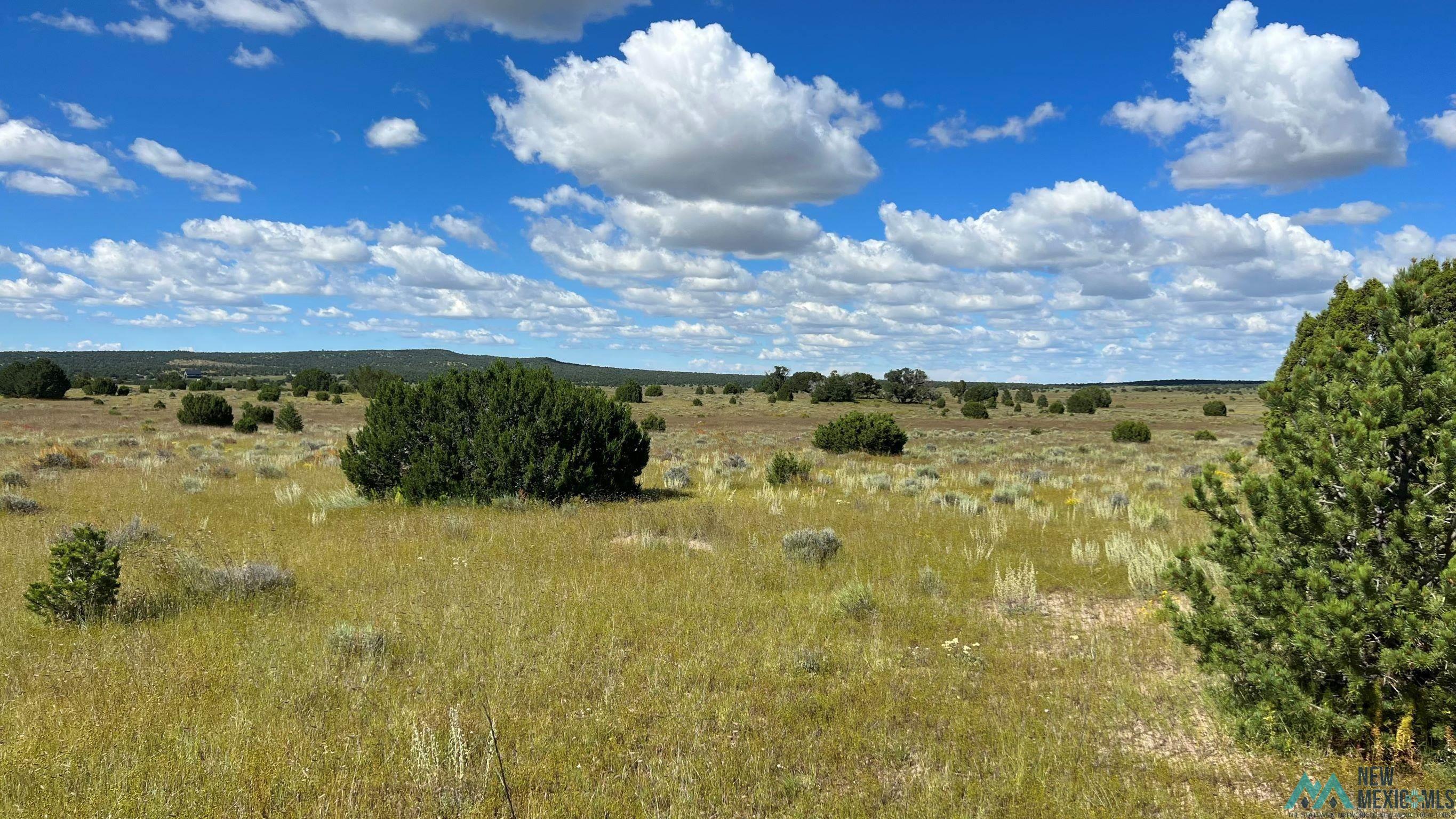 Buckhorn Circle, Pie Town, New Mexico image 5