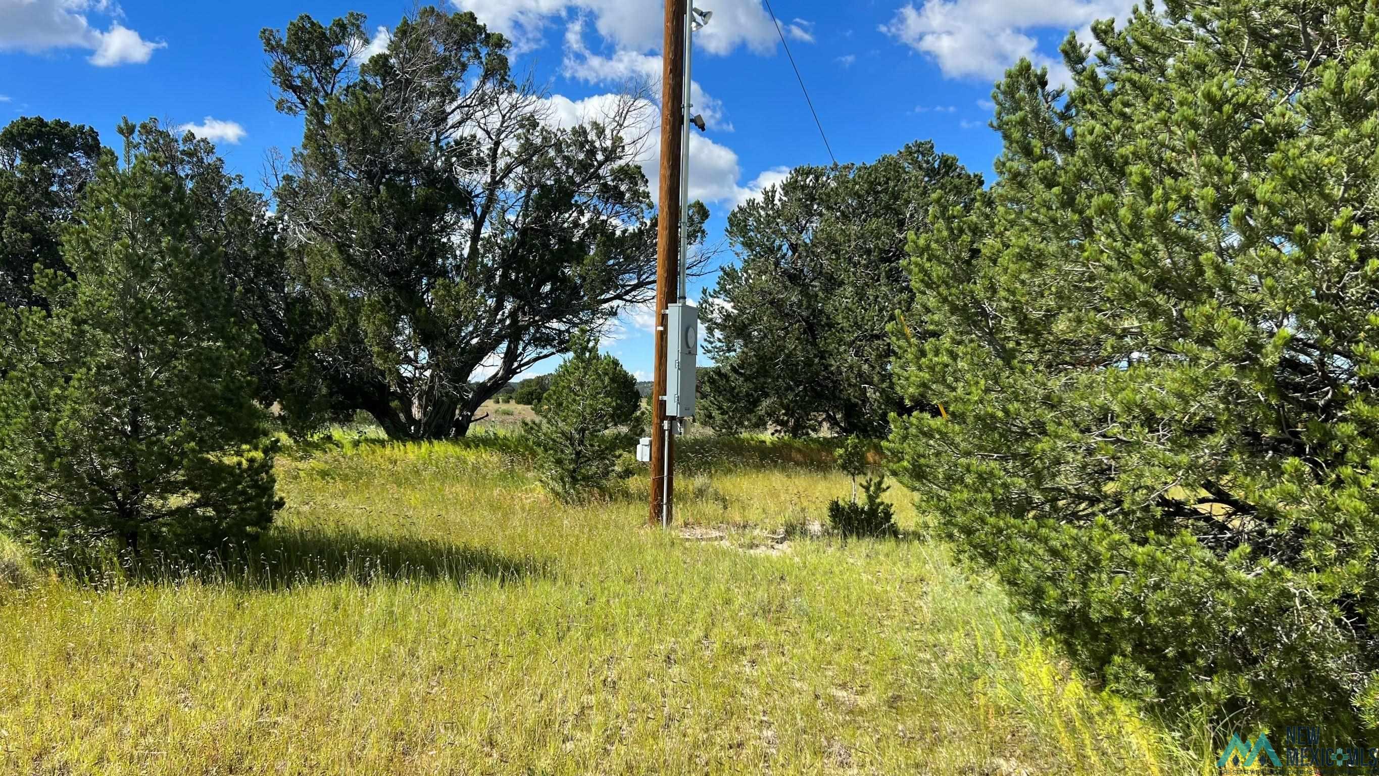 Buckhorn Circle, Pie Town, New Mexico image 3