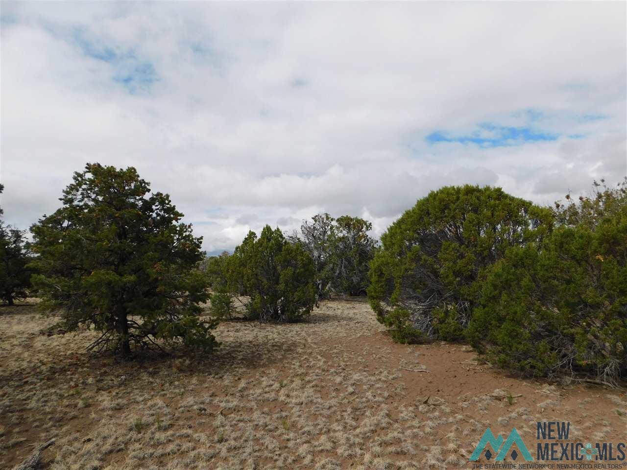 174 Agua Fria Loop, Quemado, New Mexico image 8