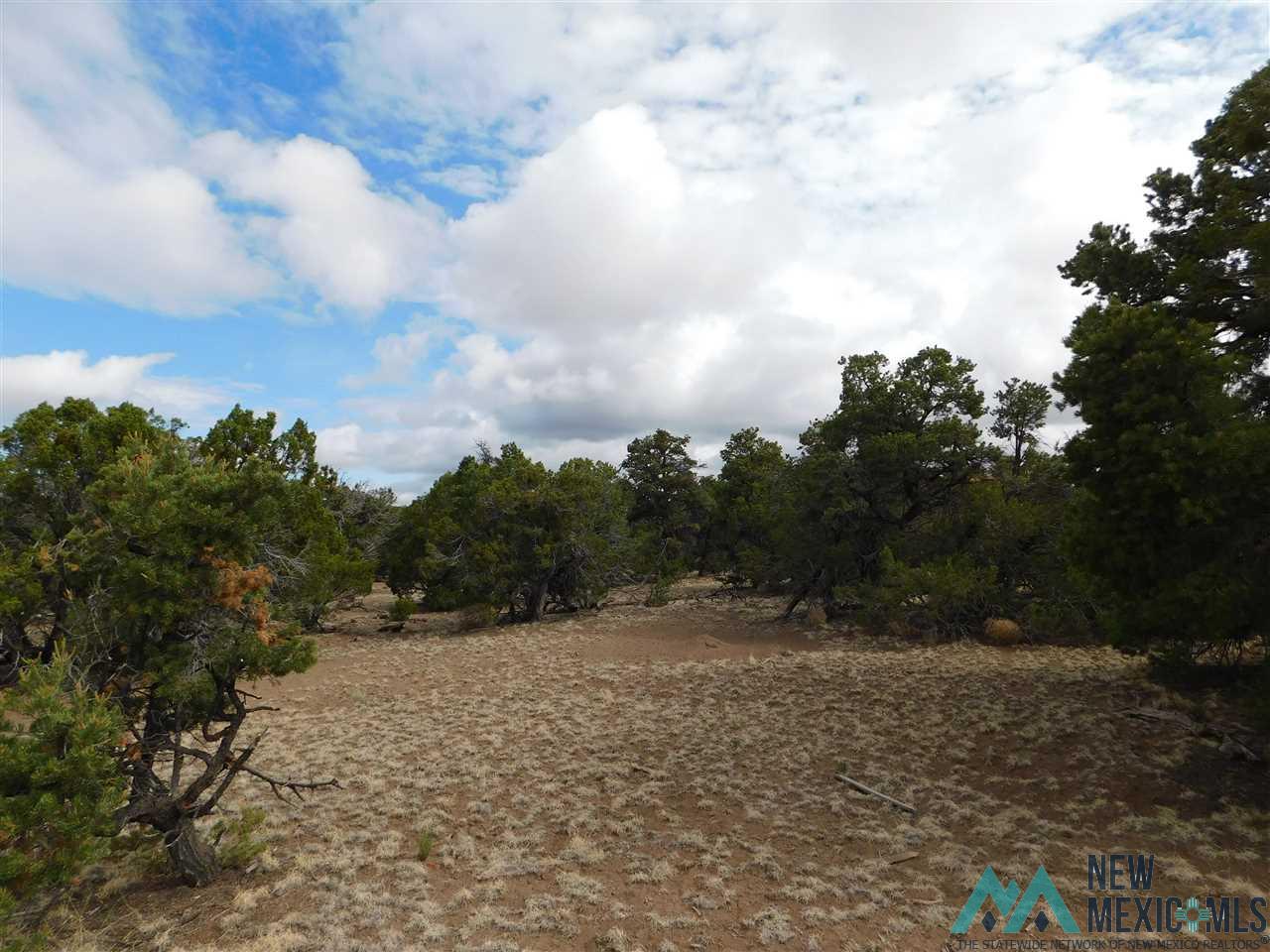 174 Agua Fria Loop, Quemado, New Mexico image 1
