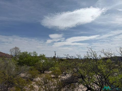 Vacant Land For Sale - 119 Superior Drive<br/> Sierra County, Elephant Butte, NM 87935