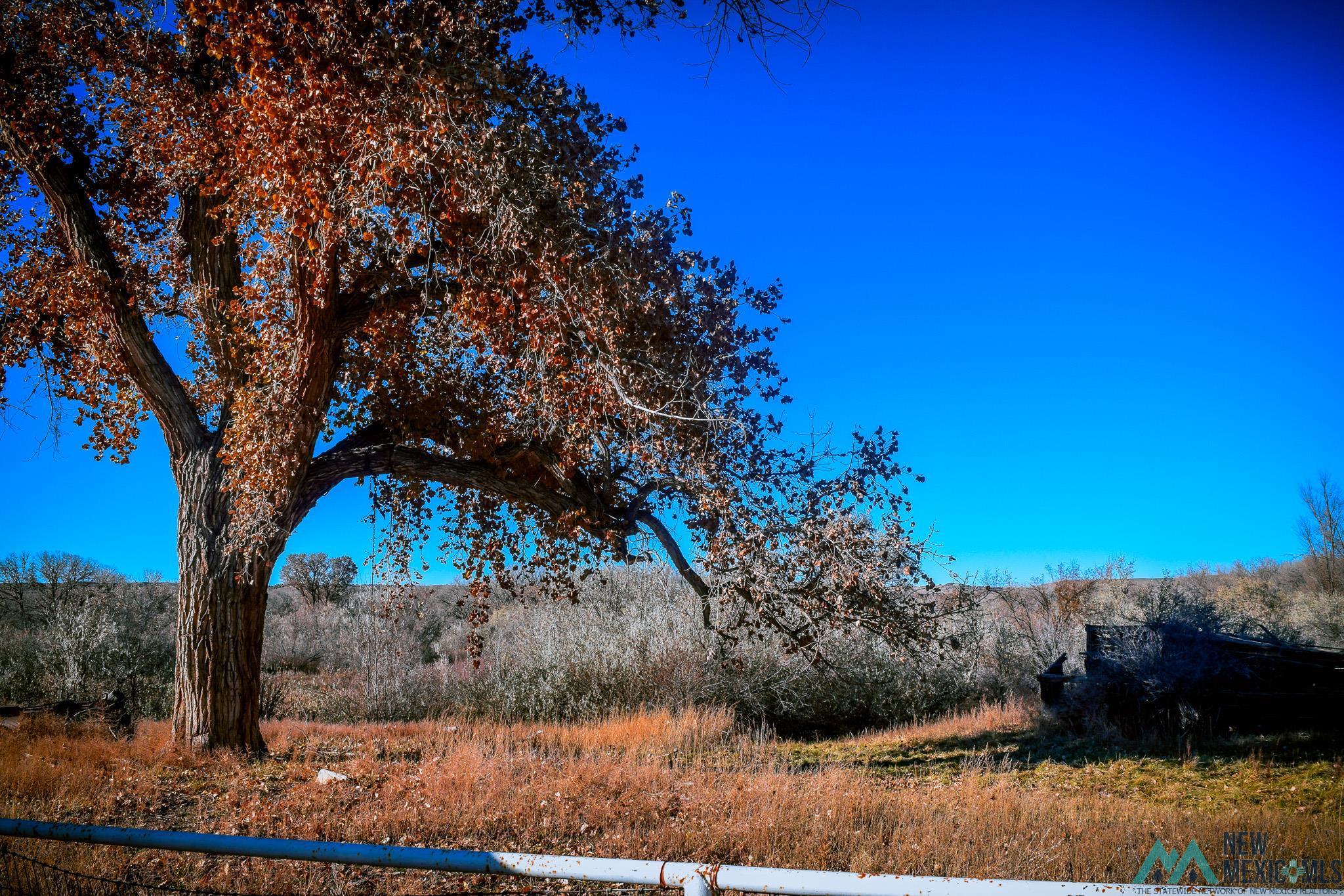 Cr 3000 Road, Aztec, Texas image 14